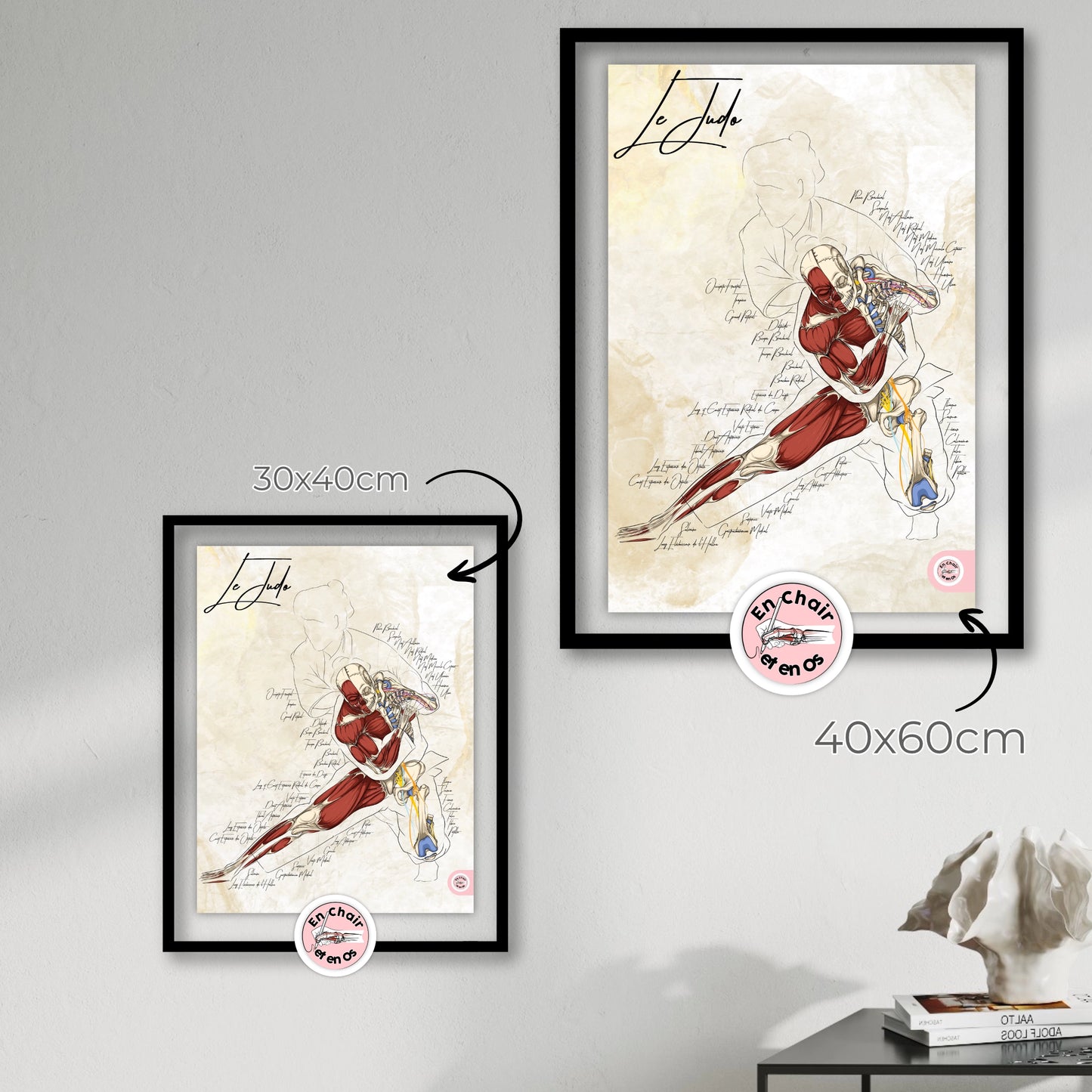 Planches anatomiques du Judo En Chair et en Os décoration pour cabinet médical