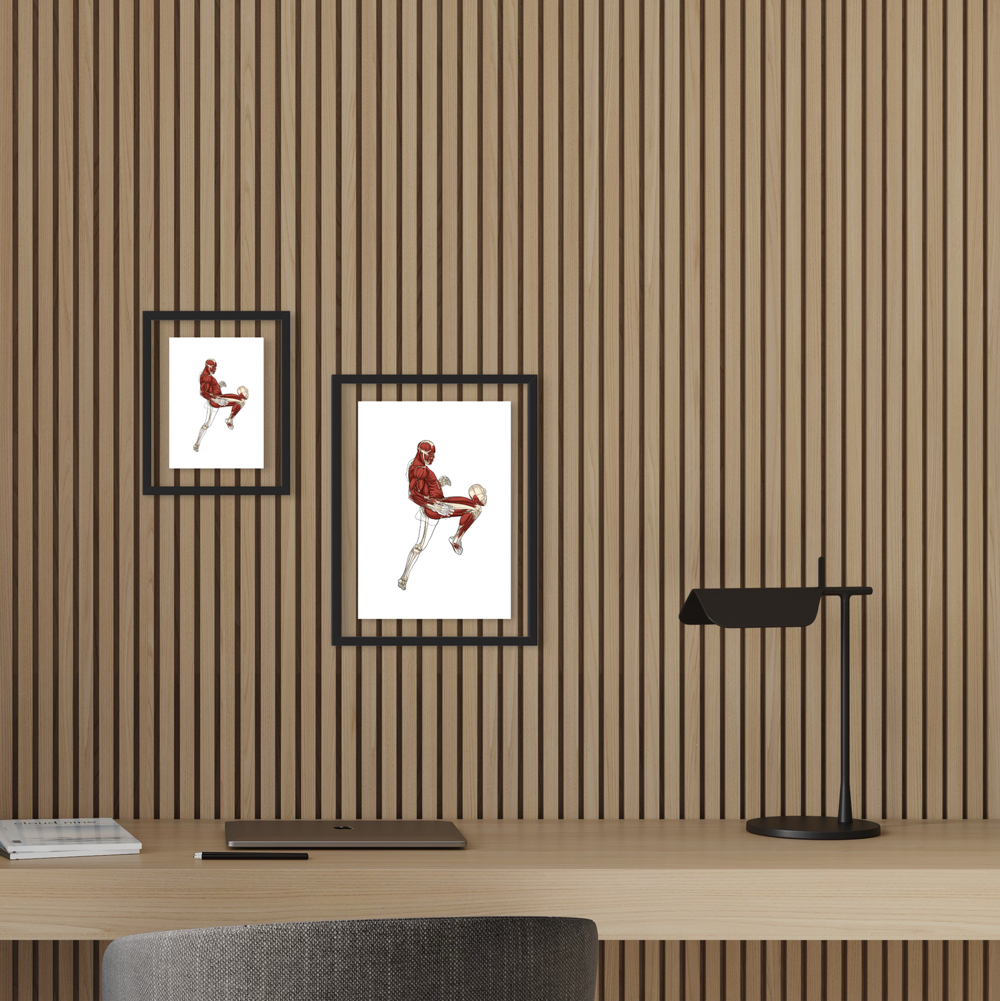 Planche anatomique du MMA En Chair et en Os décoration pour cabinet médical