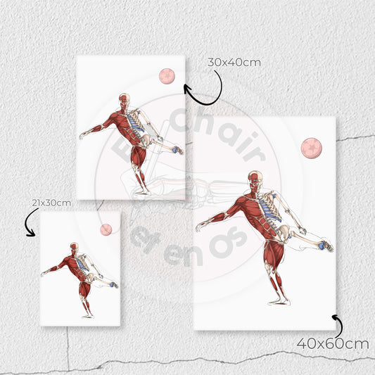 Planches anatomiques du Football En Chair et en Os décoration pour cabinet médical 
