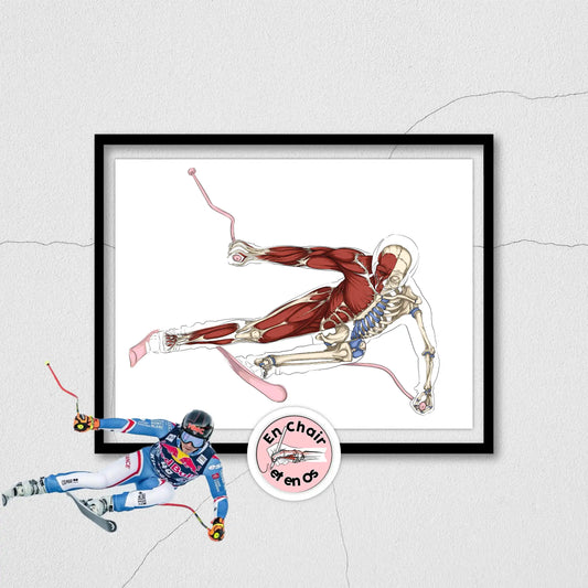 Planche anatomique du ski