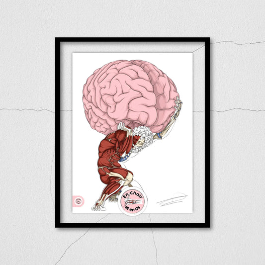 Planche anatomique du cerveau - Atlas