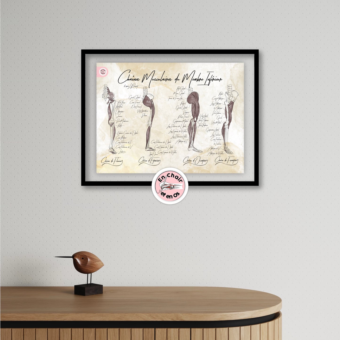 Planches anatomiques muscles de la jambe En Chair et en Os décoration pour cabinet médical