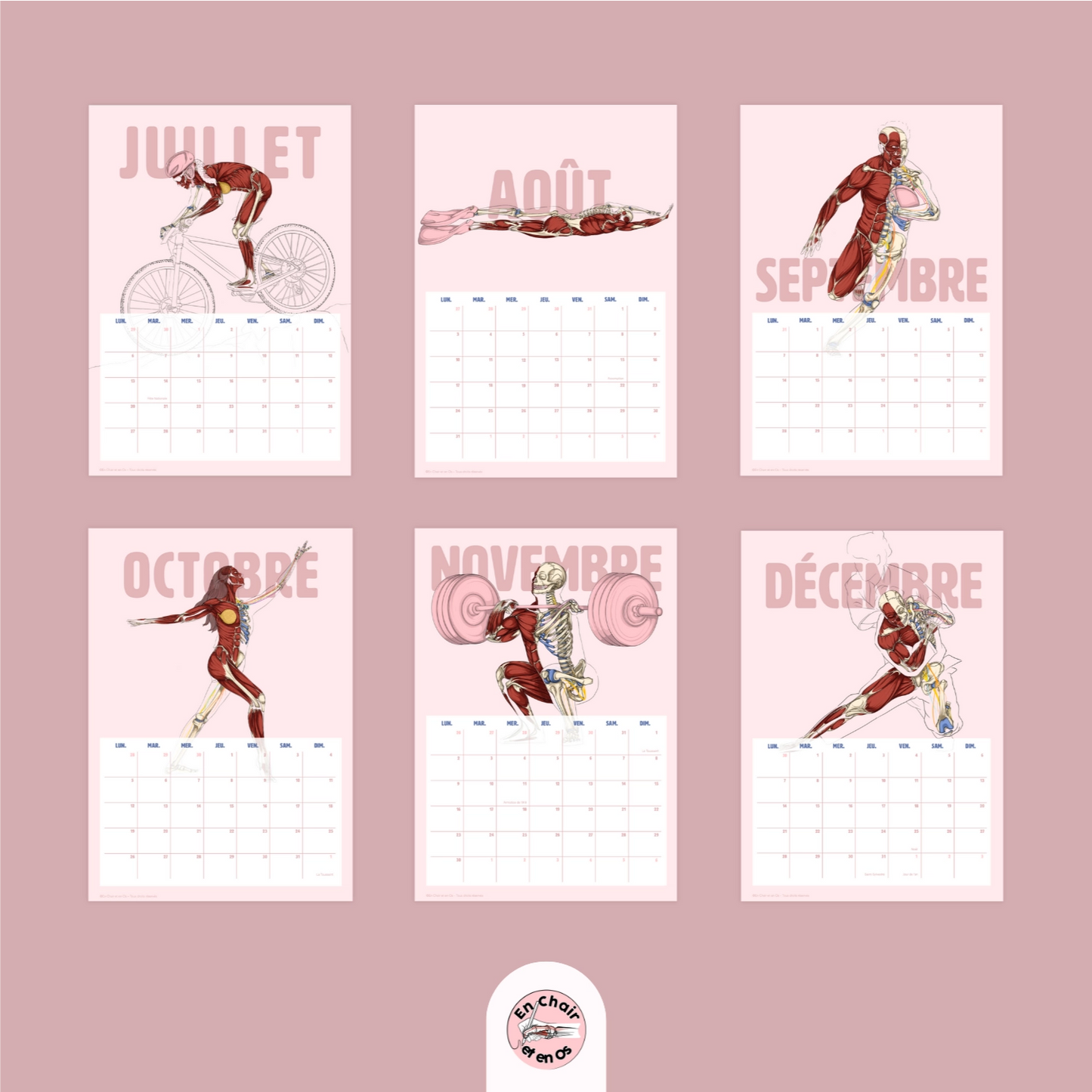 Calendrier Anatomie du sport en chair et en os 2026