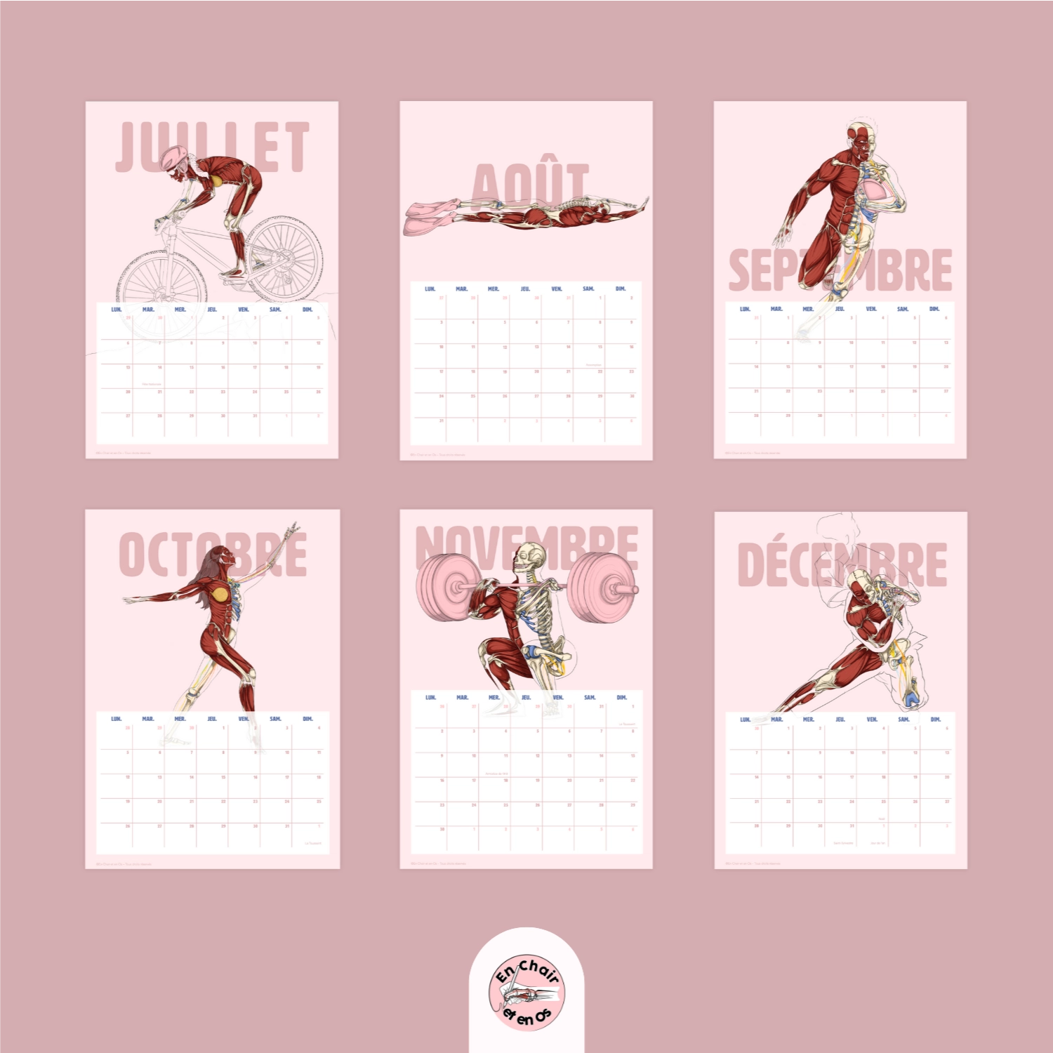 Calendrier Anatomie du sport en chair et en os 2026