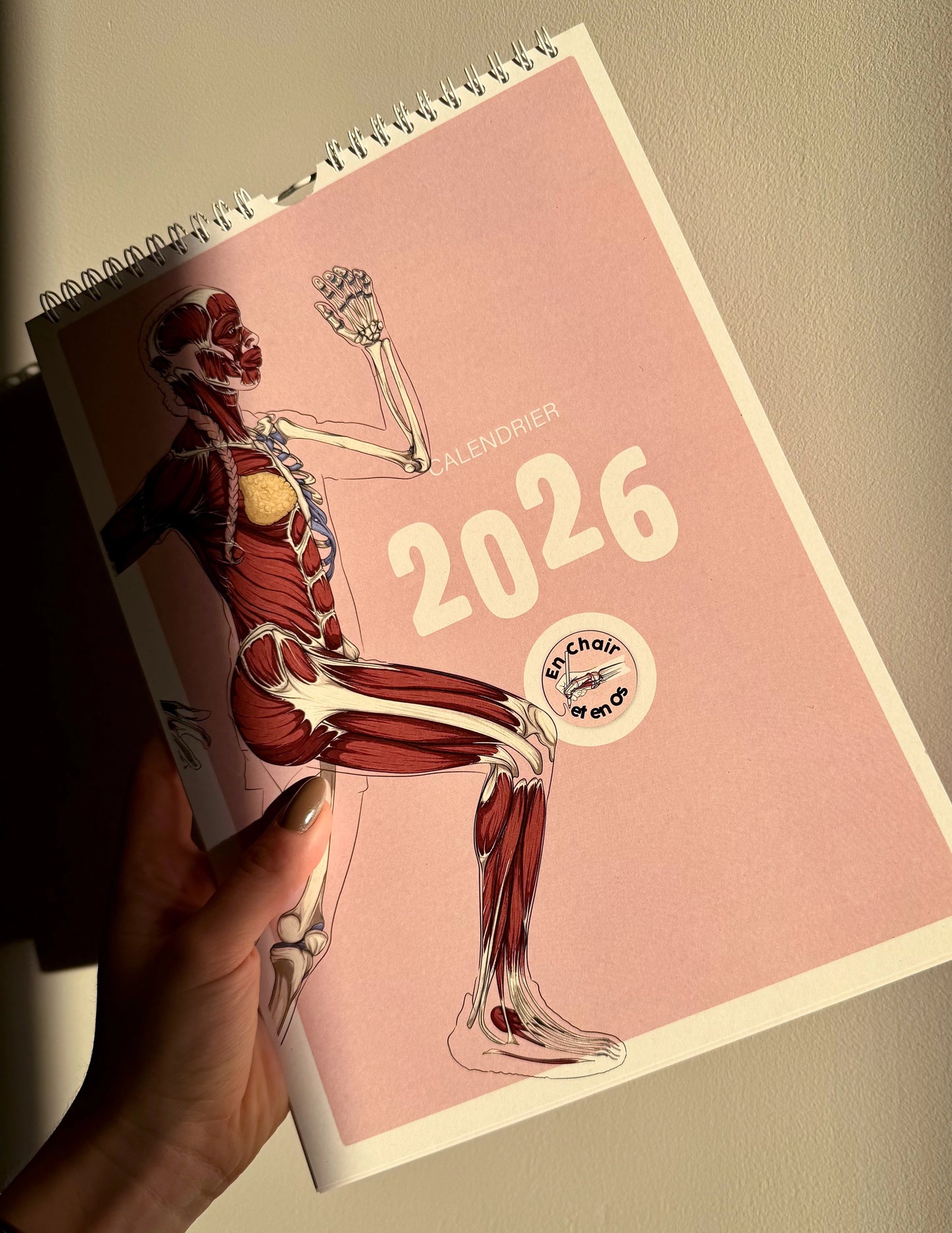 Calendrier Anatomie du sport en chair et en os 2026