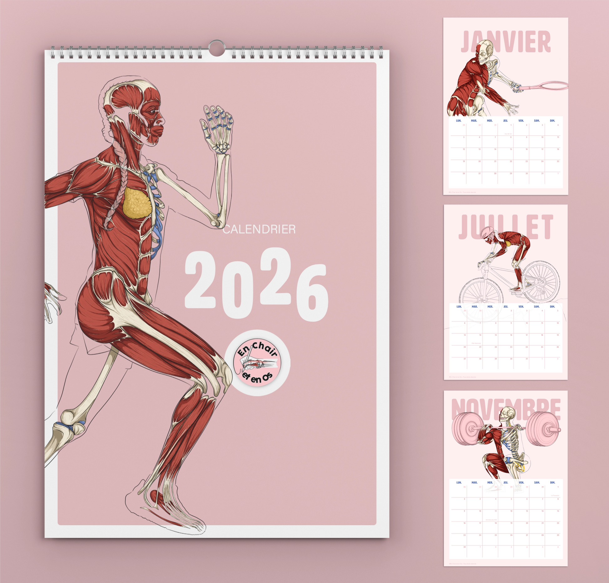 Calendrier Anatomie du sport en chair et en os 2026