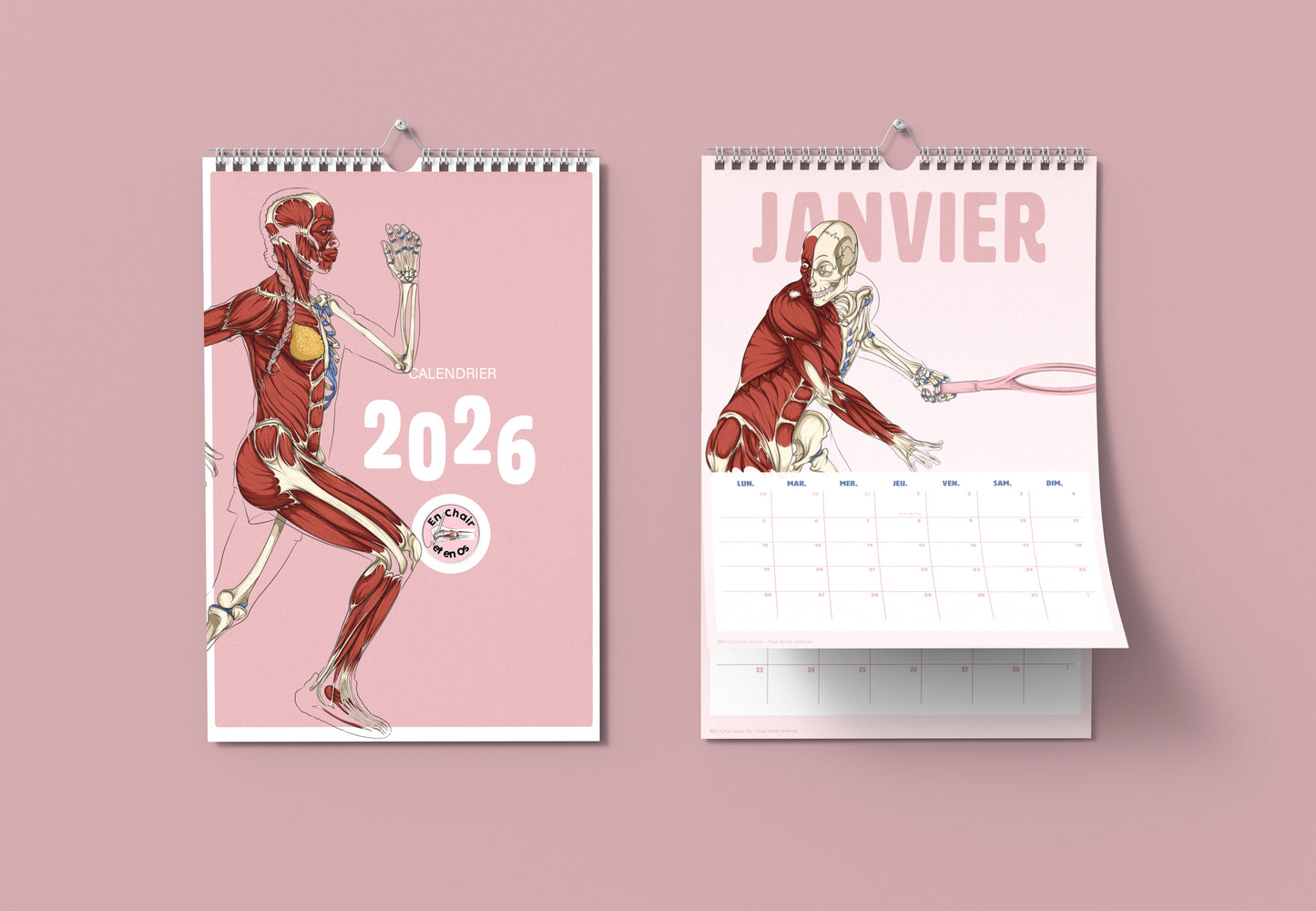 Calendrier Anatomie du sport en chair et en os 2026