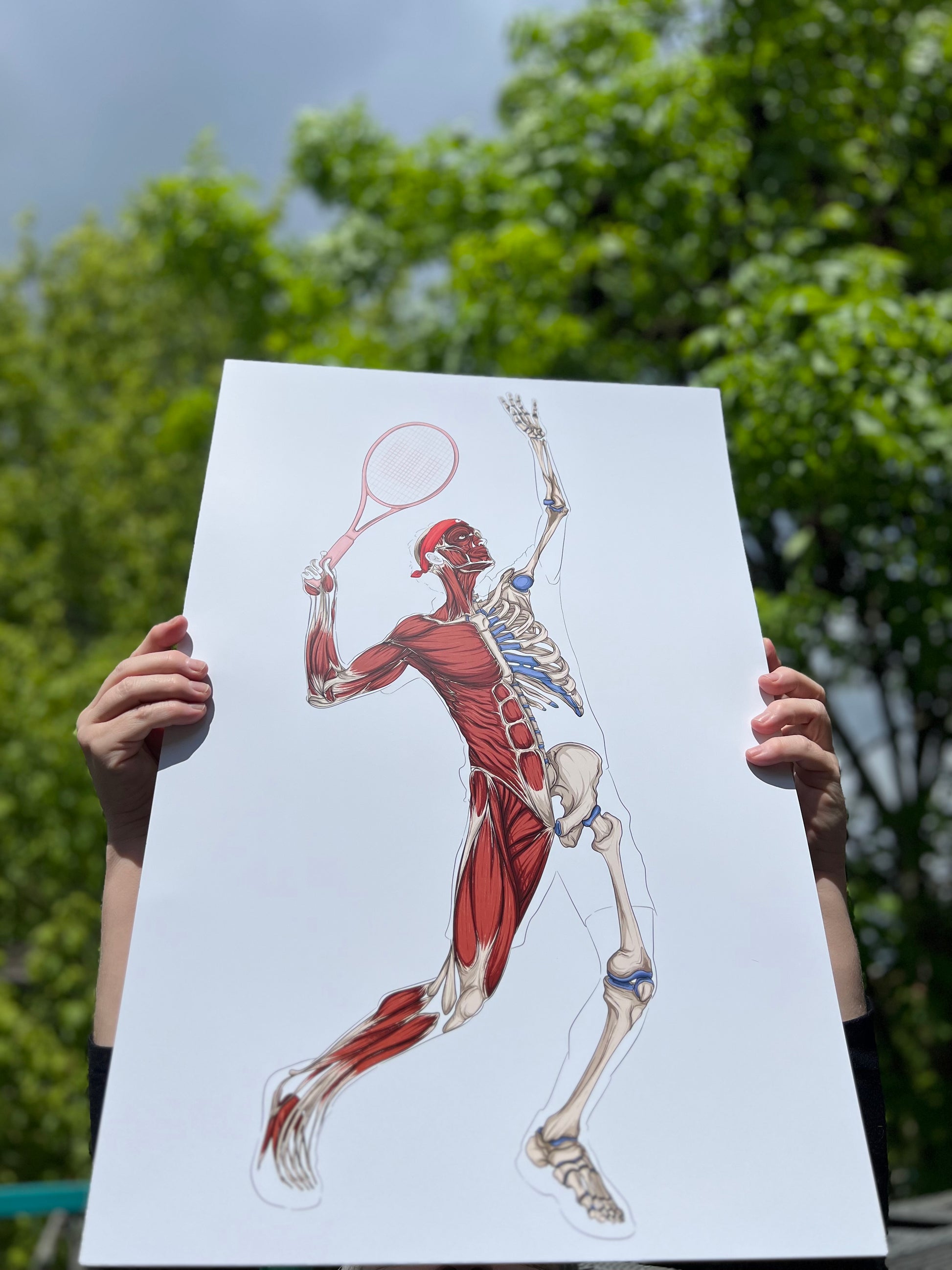 Ecorché anatomique du tennis En Chair et en Os décoration pour cabinet médical