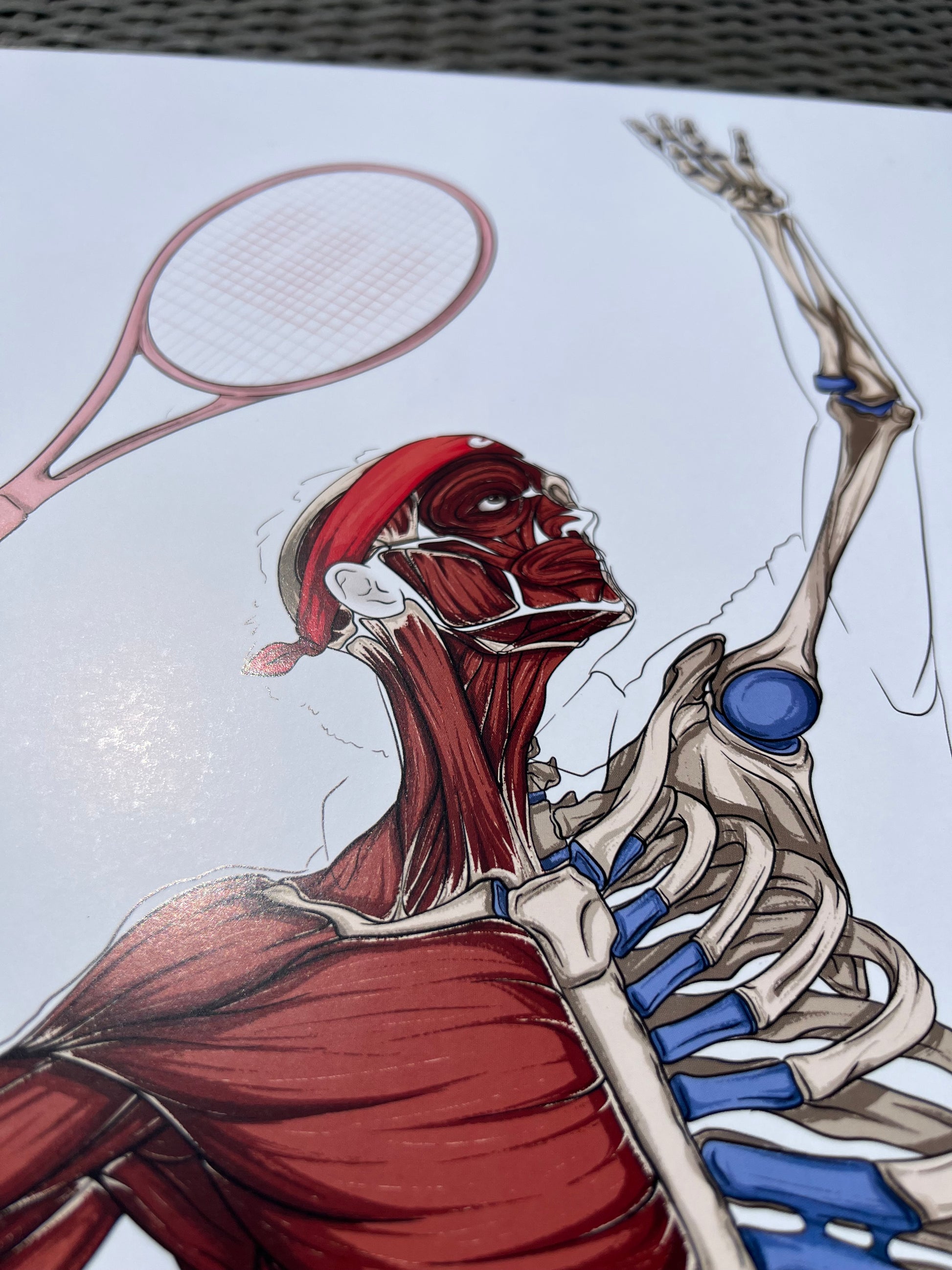 Ecorché anatomique du tennis En Chair et en Os décoration pour cabinet médical