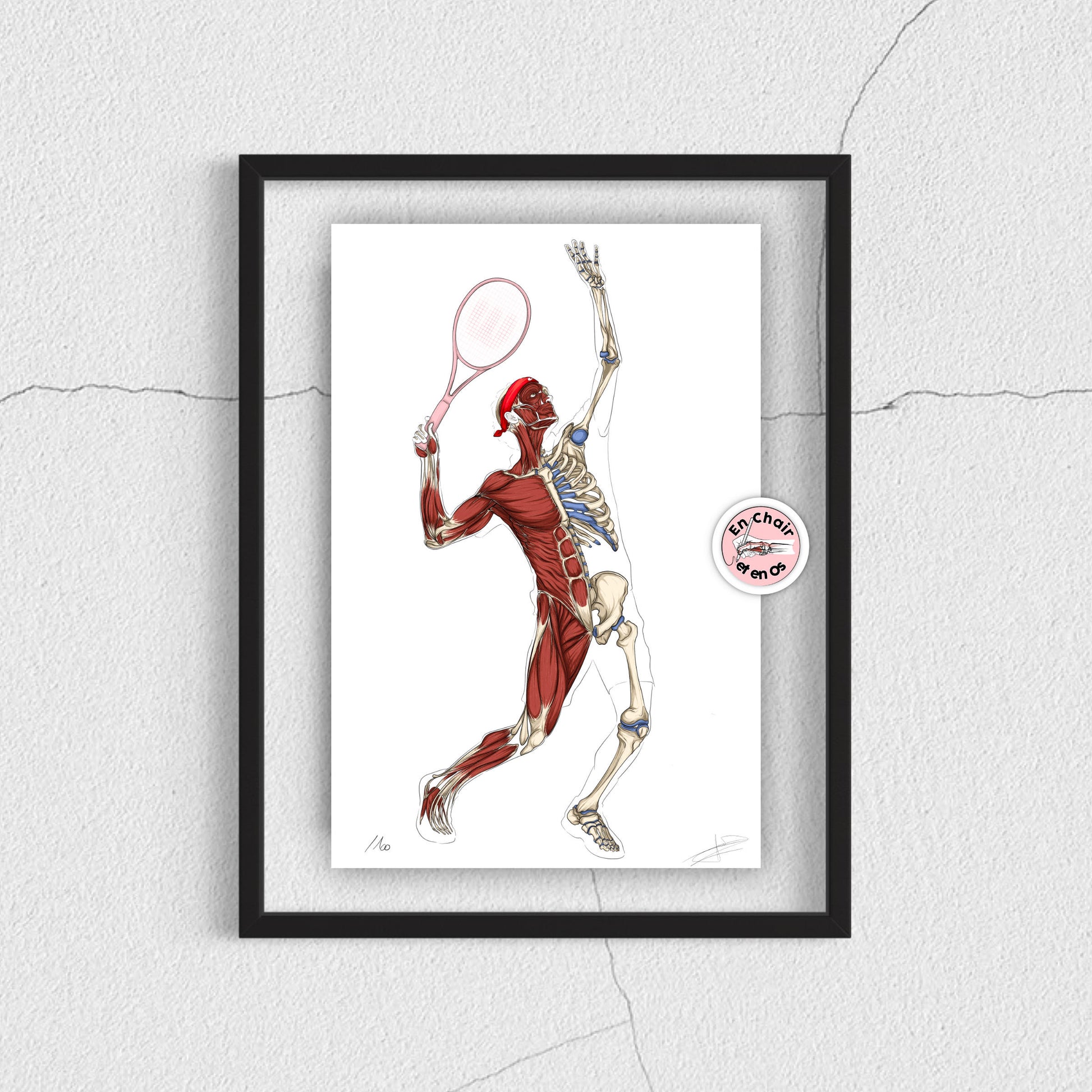 Ecorché anatomique du tennis En Chair et en Os décoration pour cabinet médical