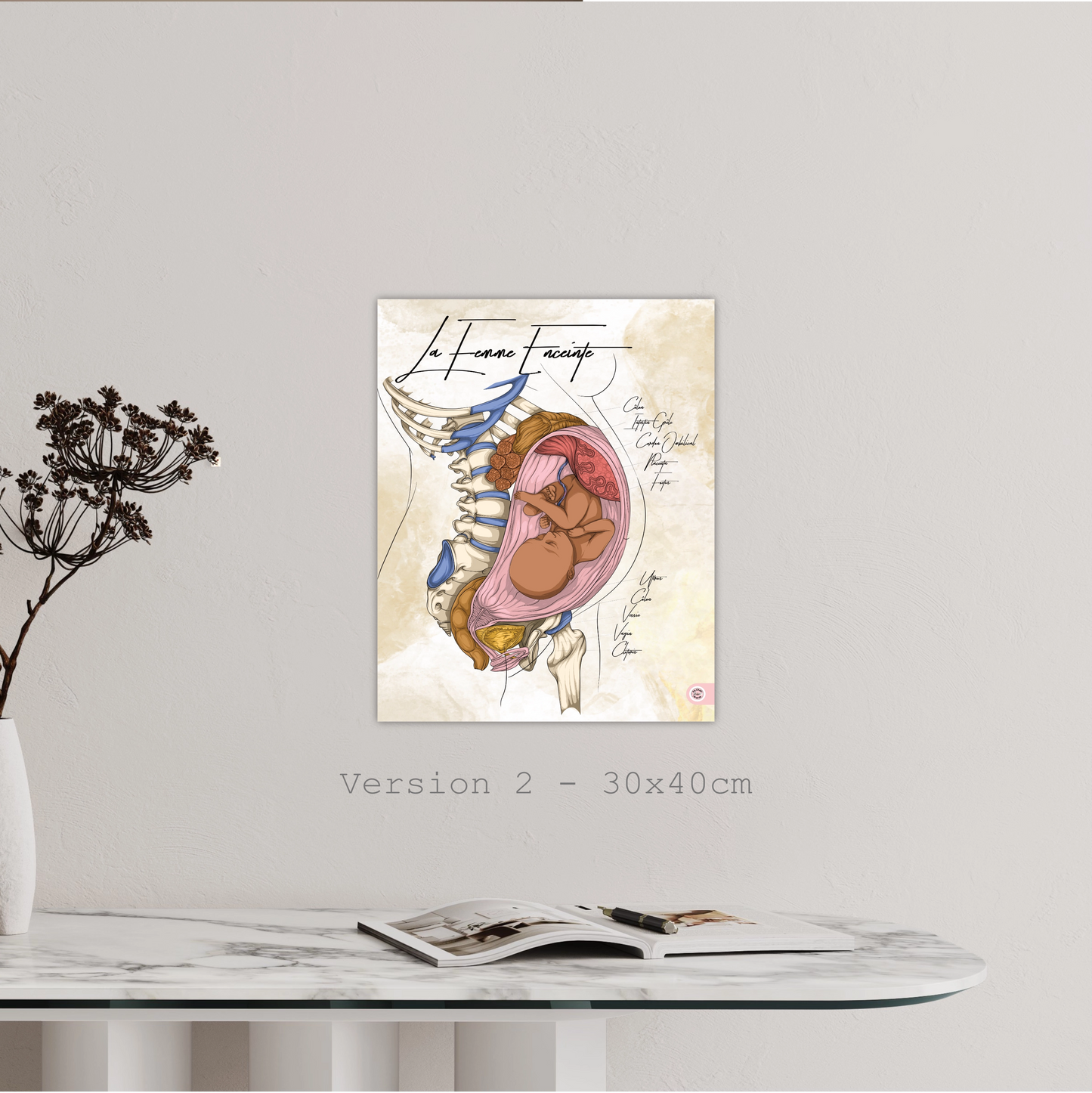 Planche anatomique de la femme enceinte En Chair et en Os décoration pour cabinet médical