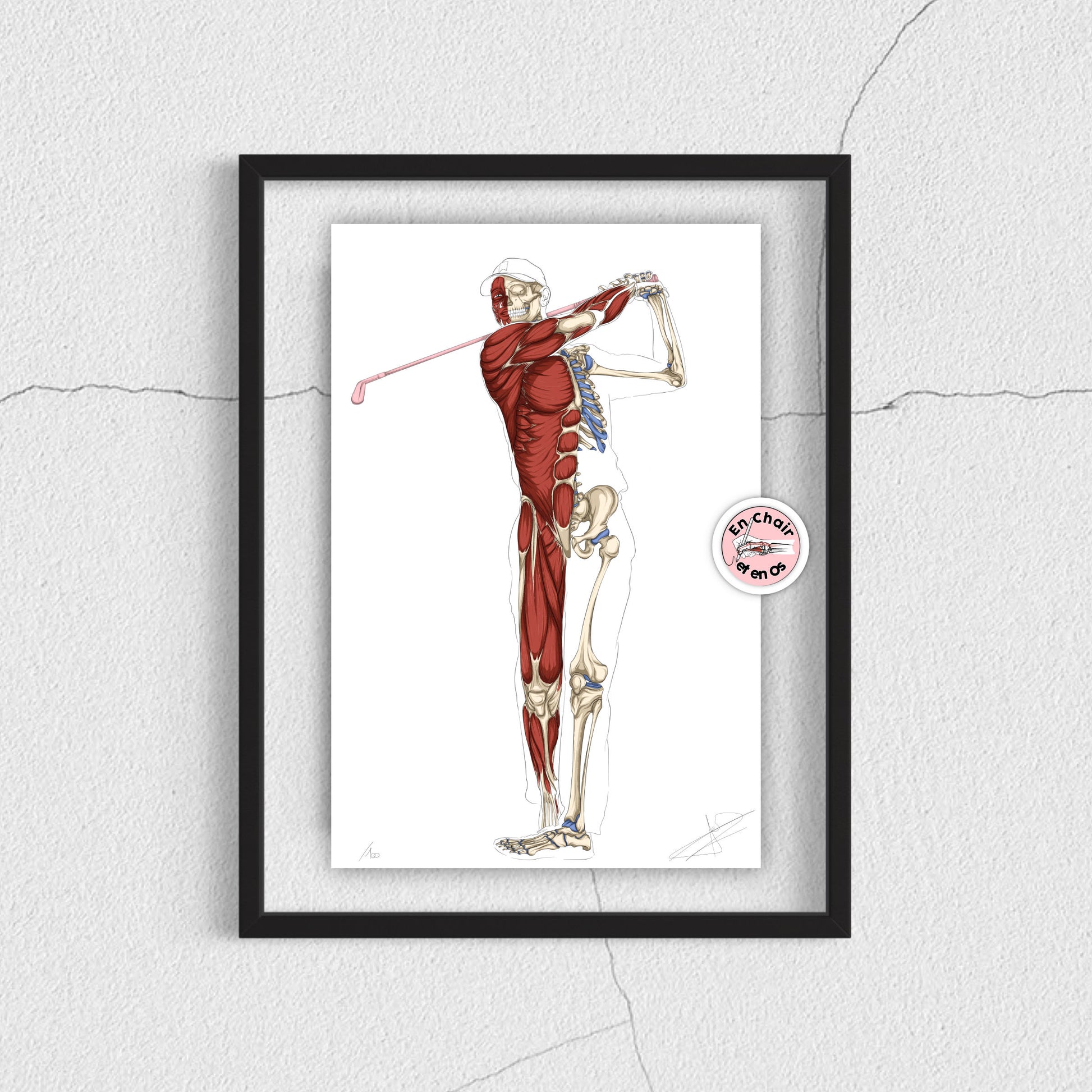 Ecorché anatomique du golf En Chair et en Os décoration pour cabinet médical