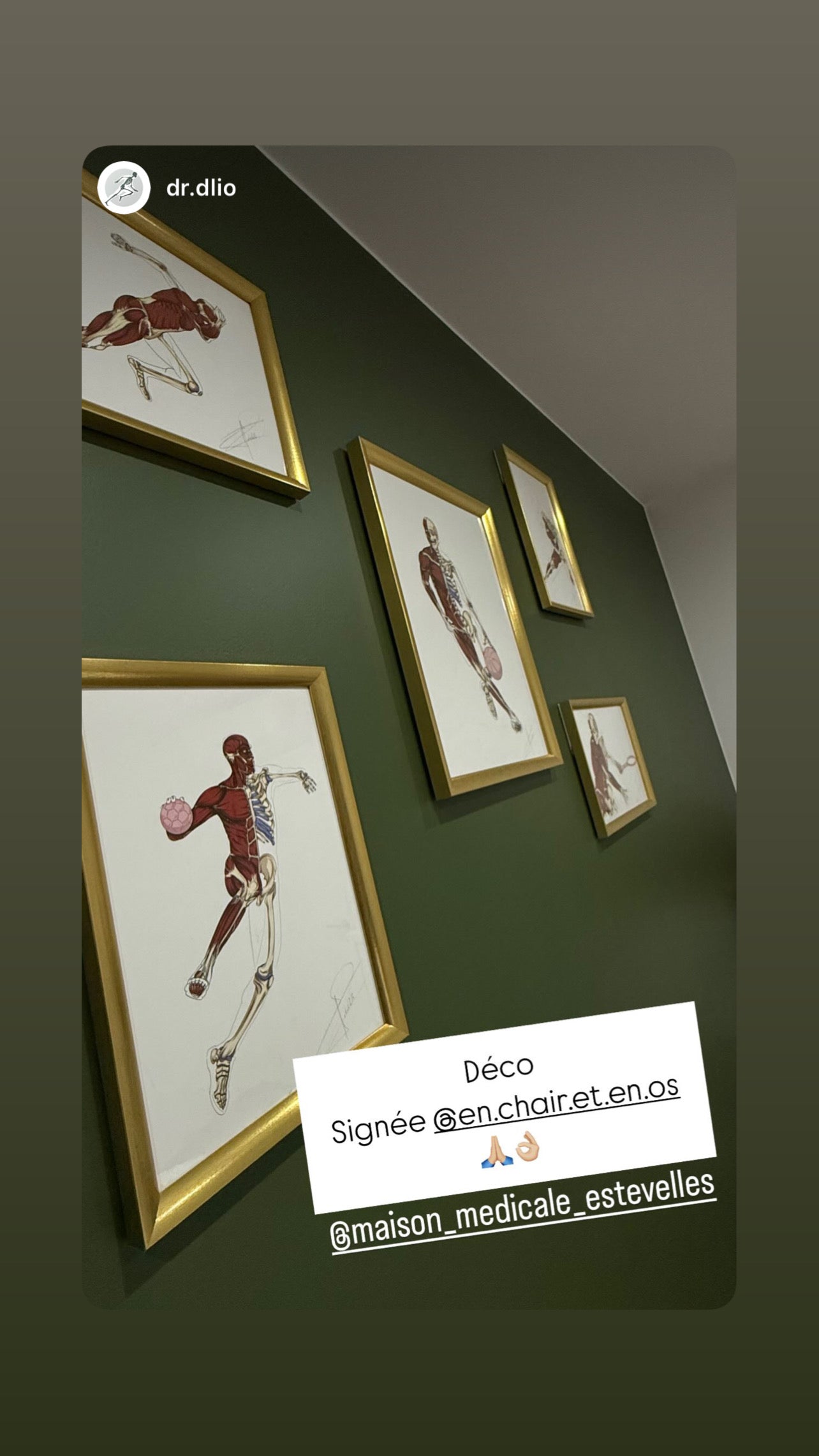 Planches anatomiques En Chair et en Os décoration pour cabinet médical 