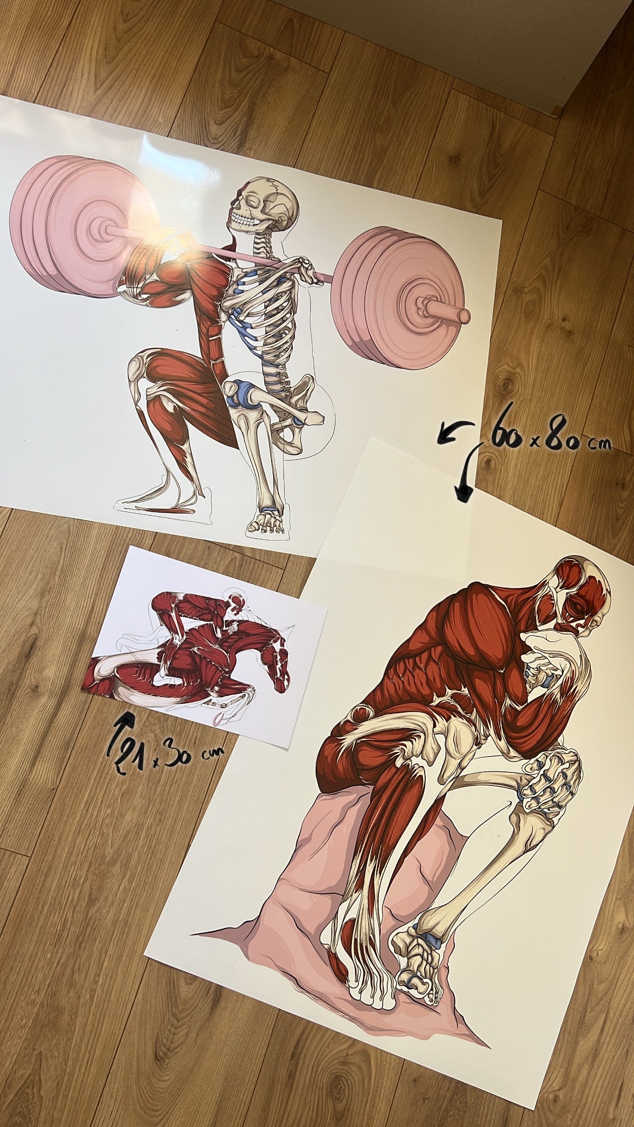 Planches anatomiques En Chair et en Os décoration pour cabinet médical 