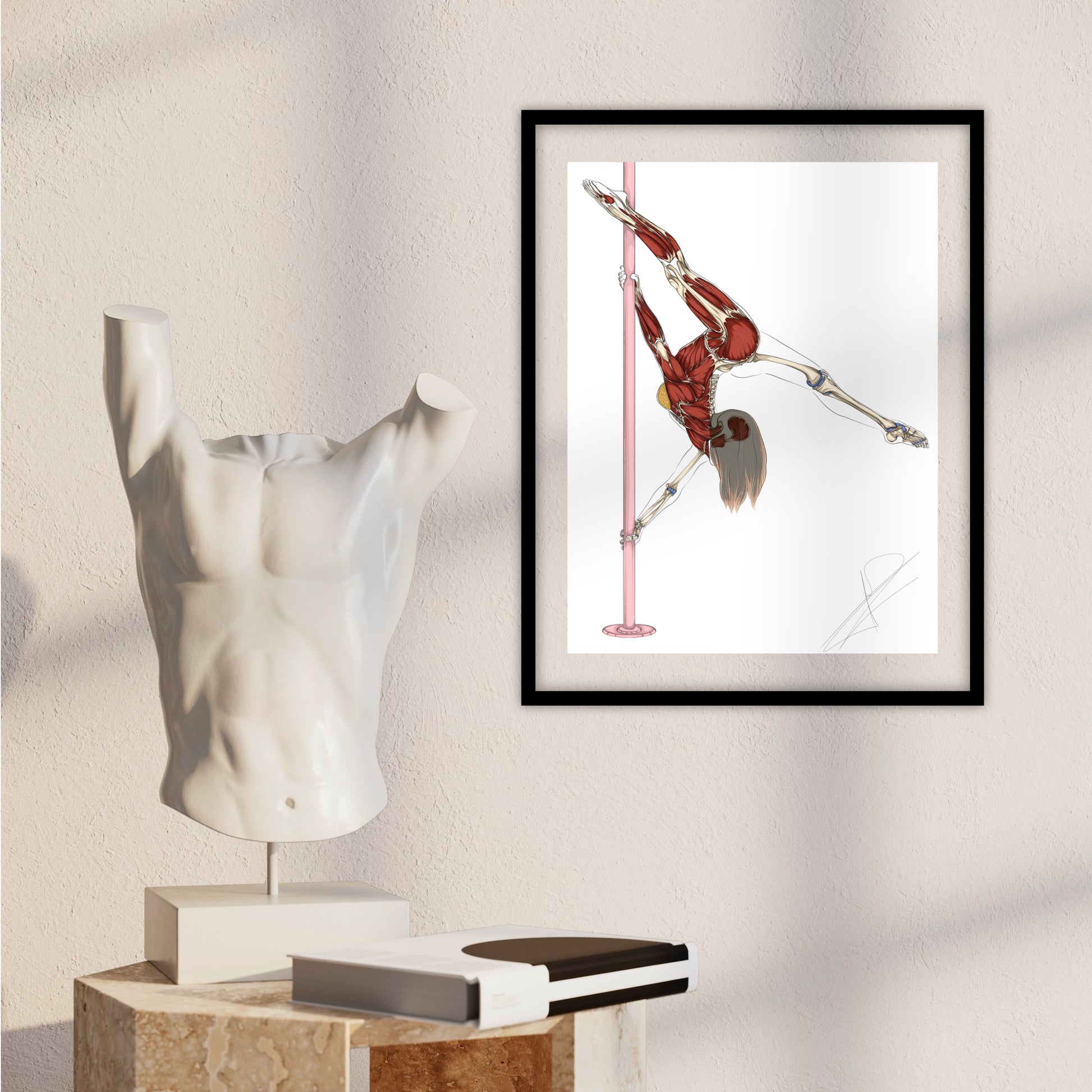 Planche anatomique du pole dance  En Chair et en Os décoration pour cabinet médical