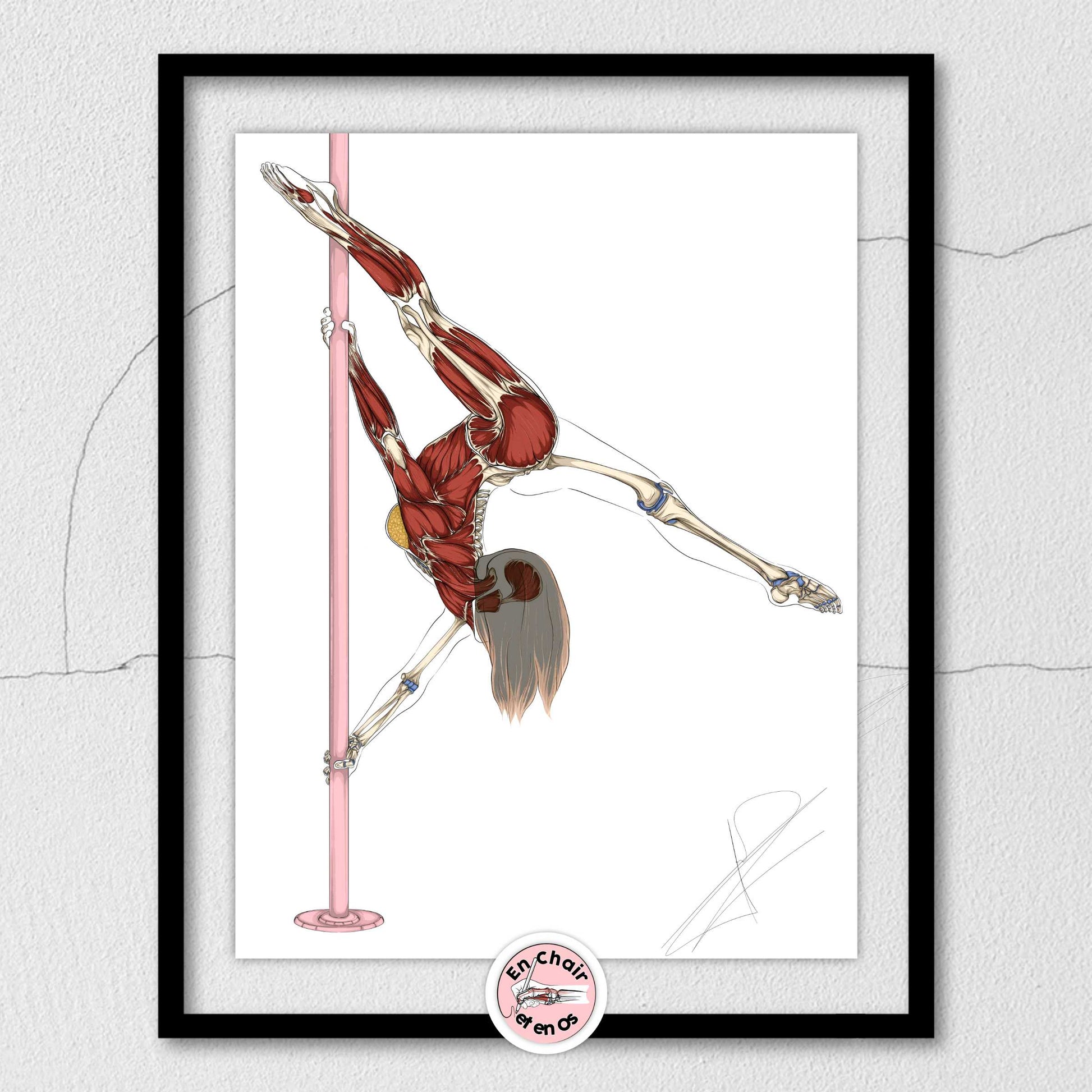 Planche anatomique du pole dance  En Chair et en Os décoration pour cabinet médical