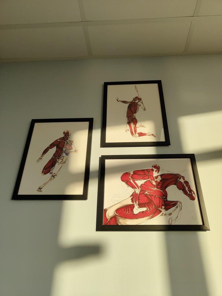 Planches anatomiques En Chair et en Os décoration pour cabinet médical 