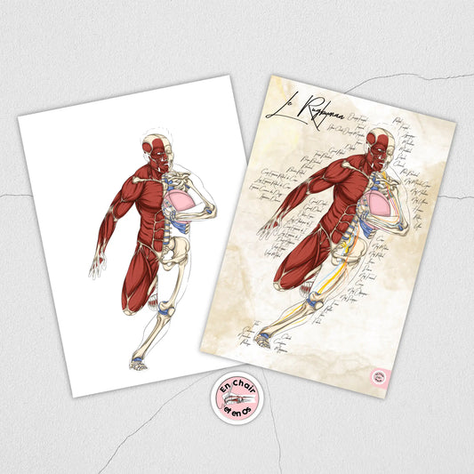 Planche anatomique du rugby En Chair et en Os décoration pour cabinet médical