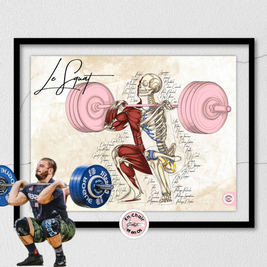 Planche anatomique du Power lifting En Chair et en Os décoration pour cabinet médical