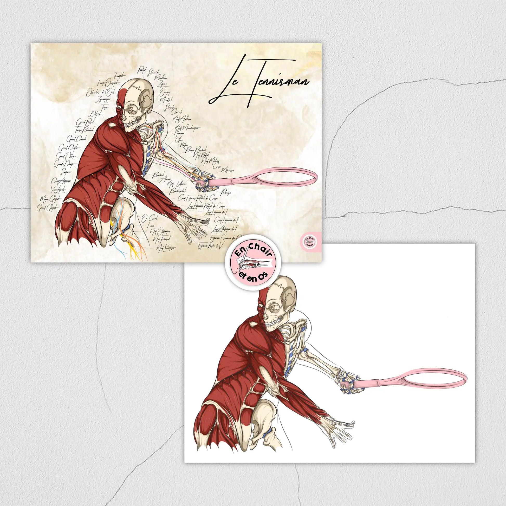 Planche anatomique du tennis En Chair et en Os décoration pour cabinet médical