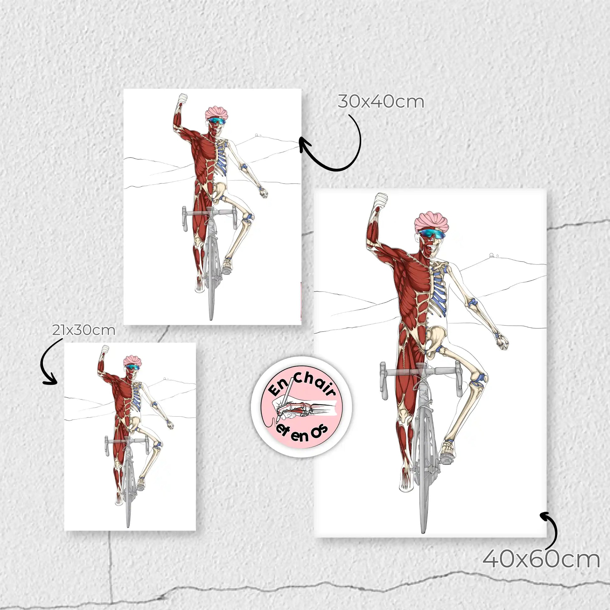 Planches anatomiques du cycliste En Chair et en Os décoration pour cabinet médical 