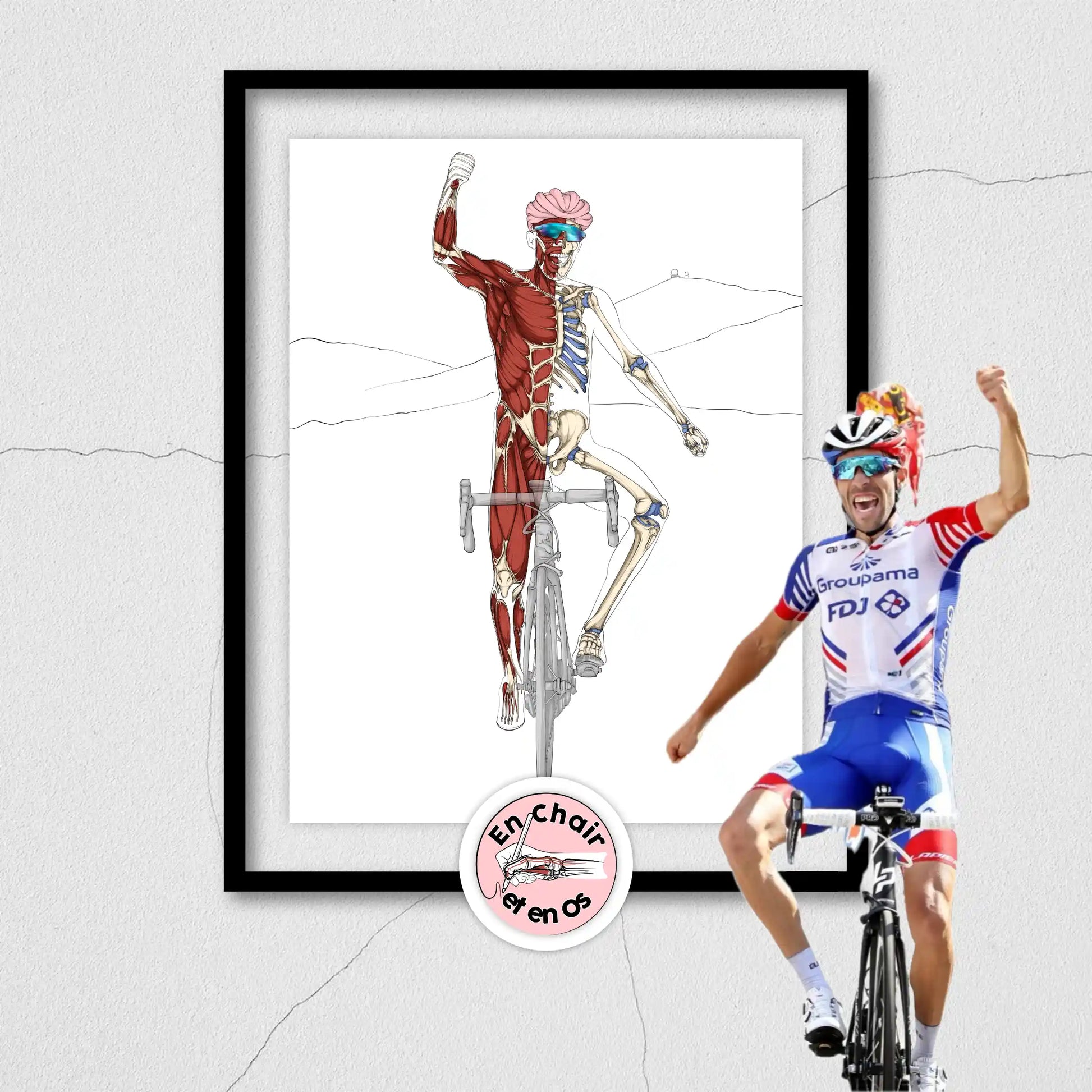 Planches anatomiques du cycliste En Chair et en Os décoration pour cabinet médical 