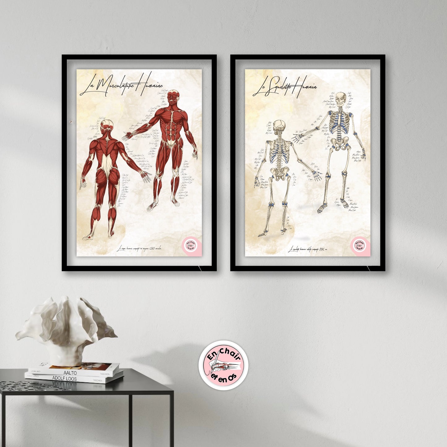 Planche anatomique du corps humain En Chair et en Os décoration pour cabinet médical