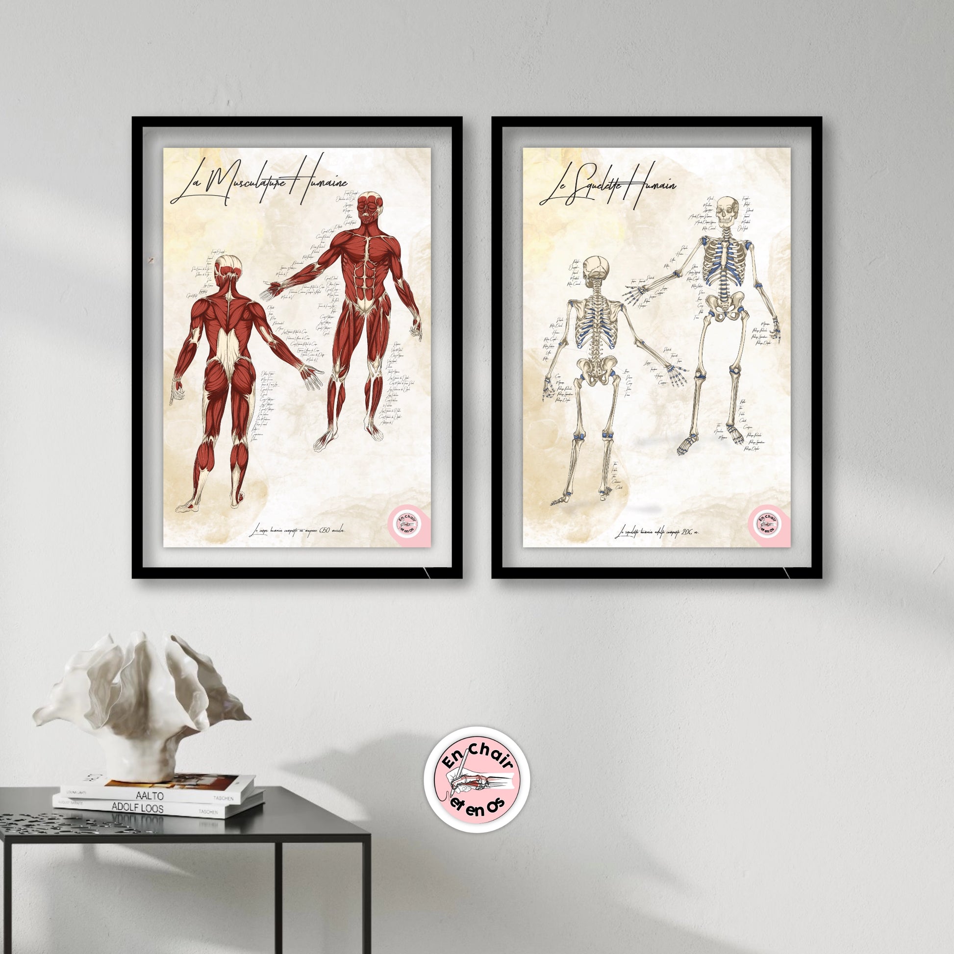 Planche anatomique du corps humain En Chair et en Os décoration pour cabinet médical
