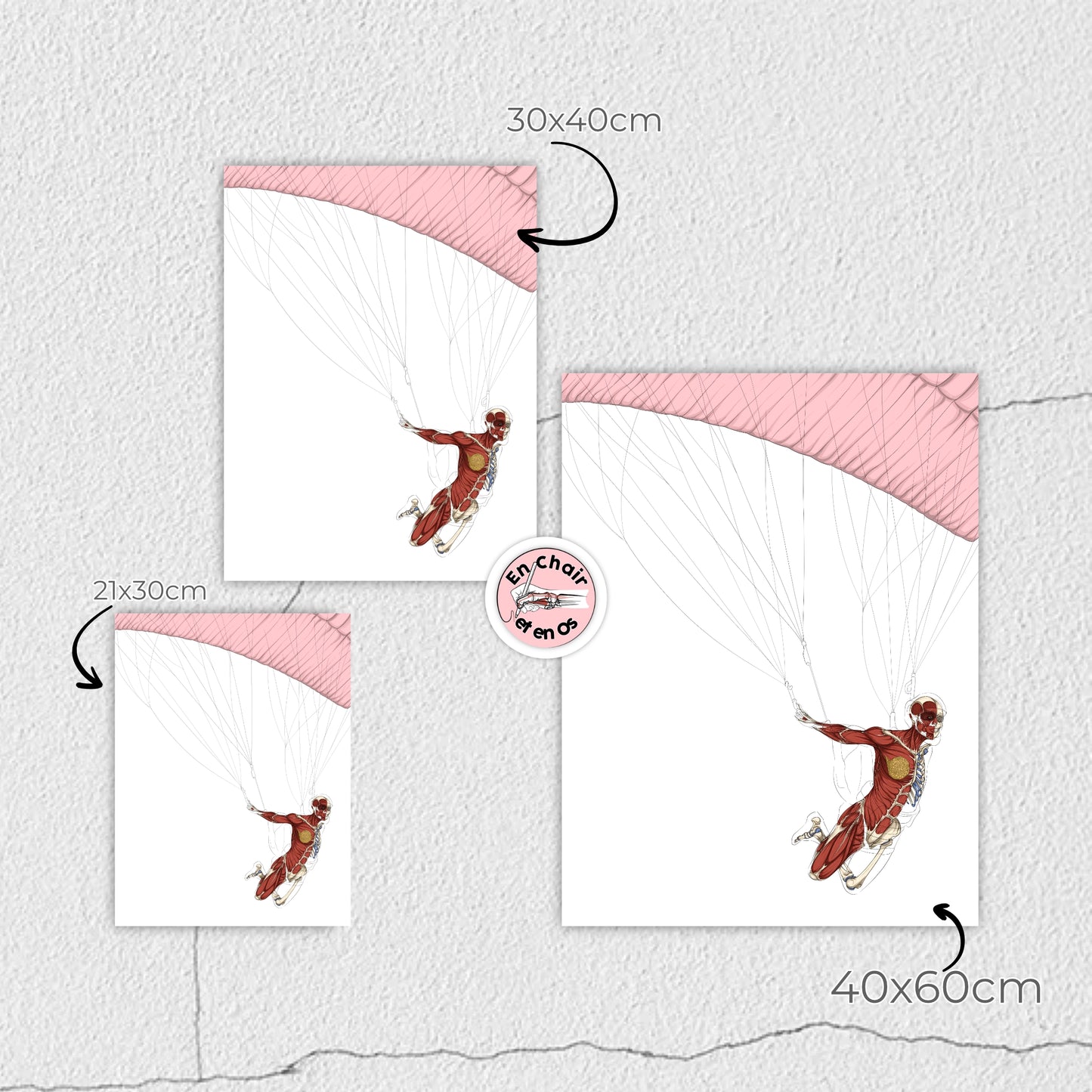 Planches anatomiques du saut en parachute En Chair et en Os décoration pour cabinet médical