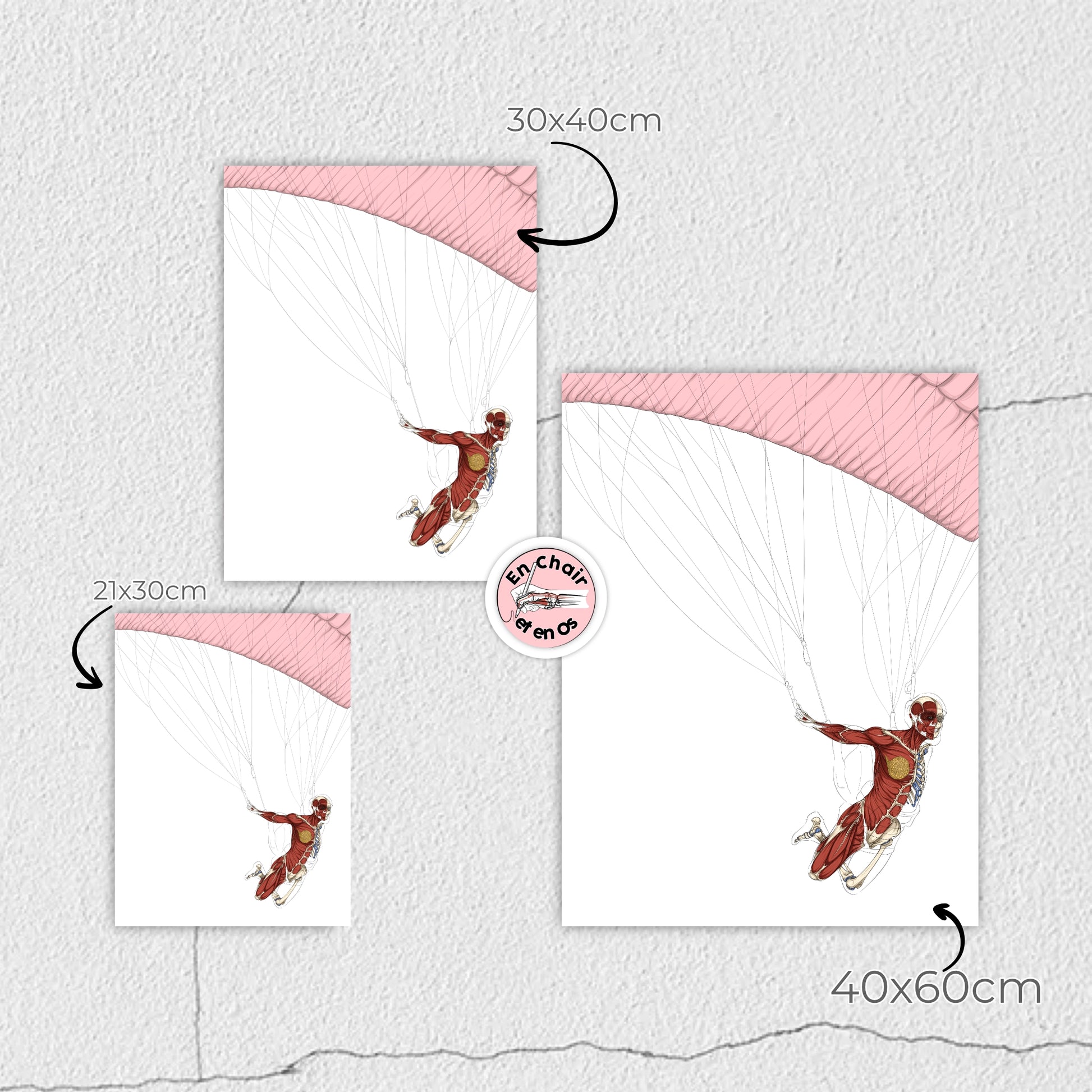 Planches anatomiques du saut en parachute En Chair et en Os décoration pour cabinet médical