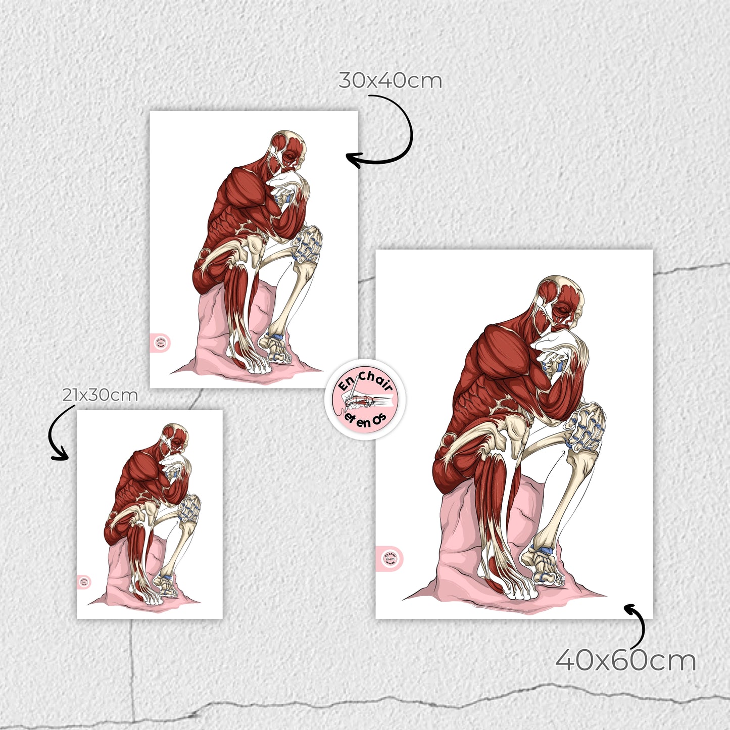Planches anatomiques du penseur de Rodin En Chair et en Os décoration pour cabinet médical