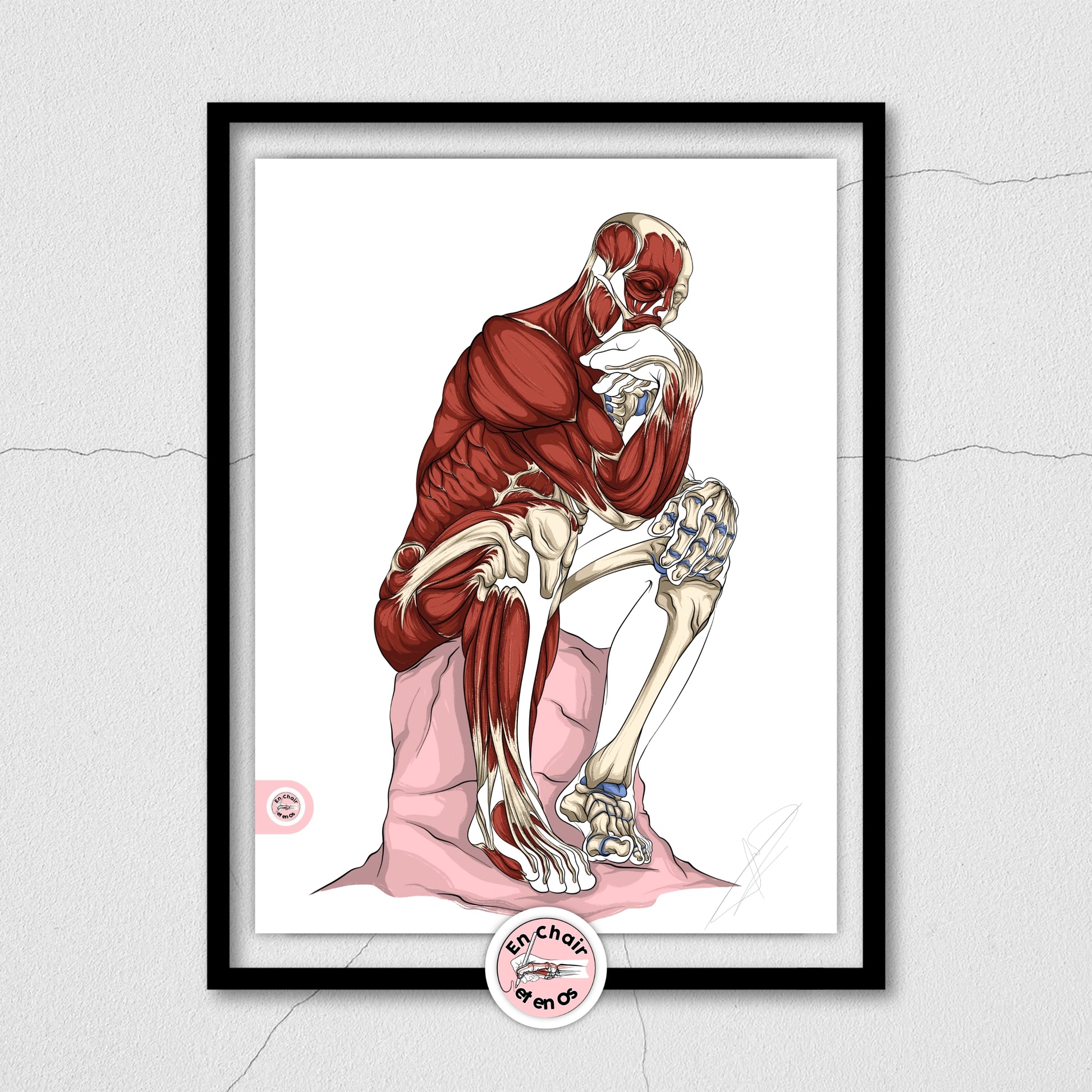 Planches anatomiques du penseur de Rodin En Chair et en Os décoration pour cabinet médical