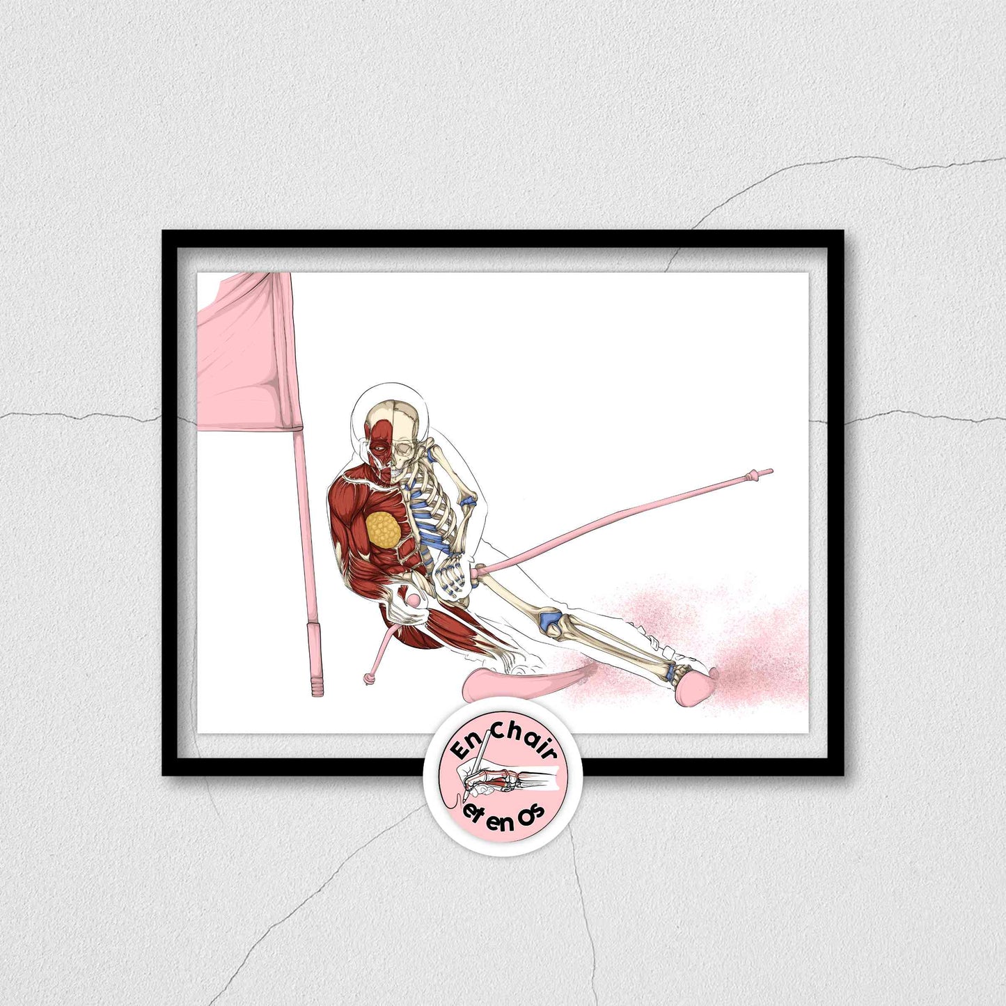 Planche anatomique du ski femme