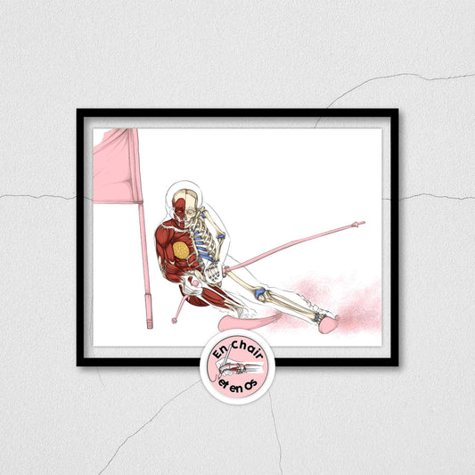 Planche anatomique du ski femme