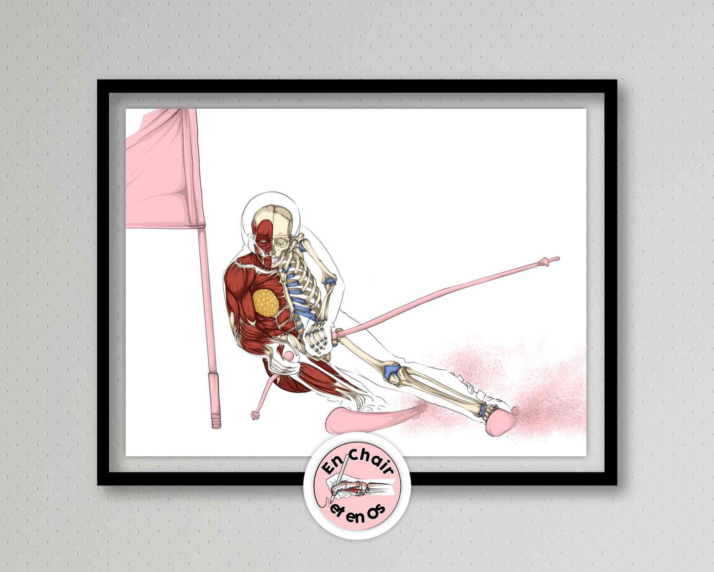 Planche anatomique du ski femme