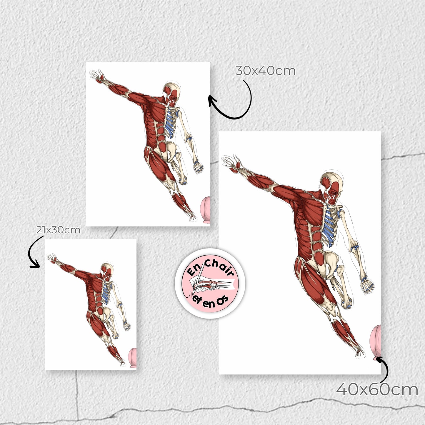 Planches anatomiques Jonny Wilkinson Rugby En Chair et en Os décoration pour cabinet médical 