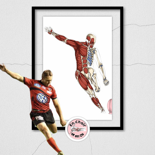 Planches anatomiques Jonny Wilkinson Rugby En Chair et en Os décoration pour cabinet médical 