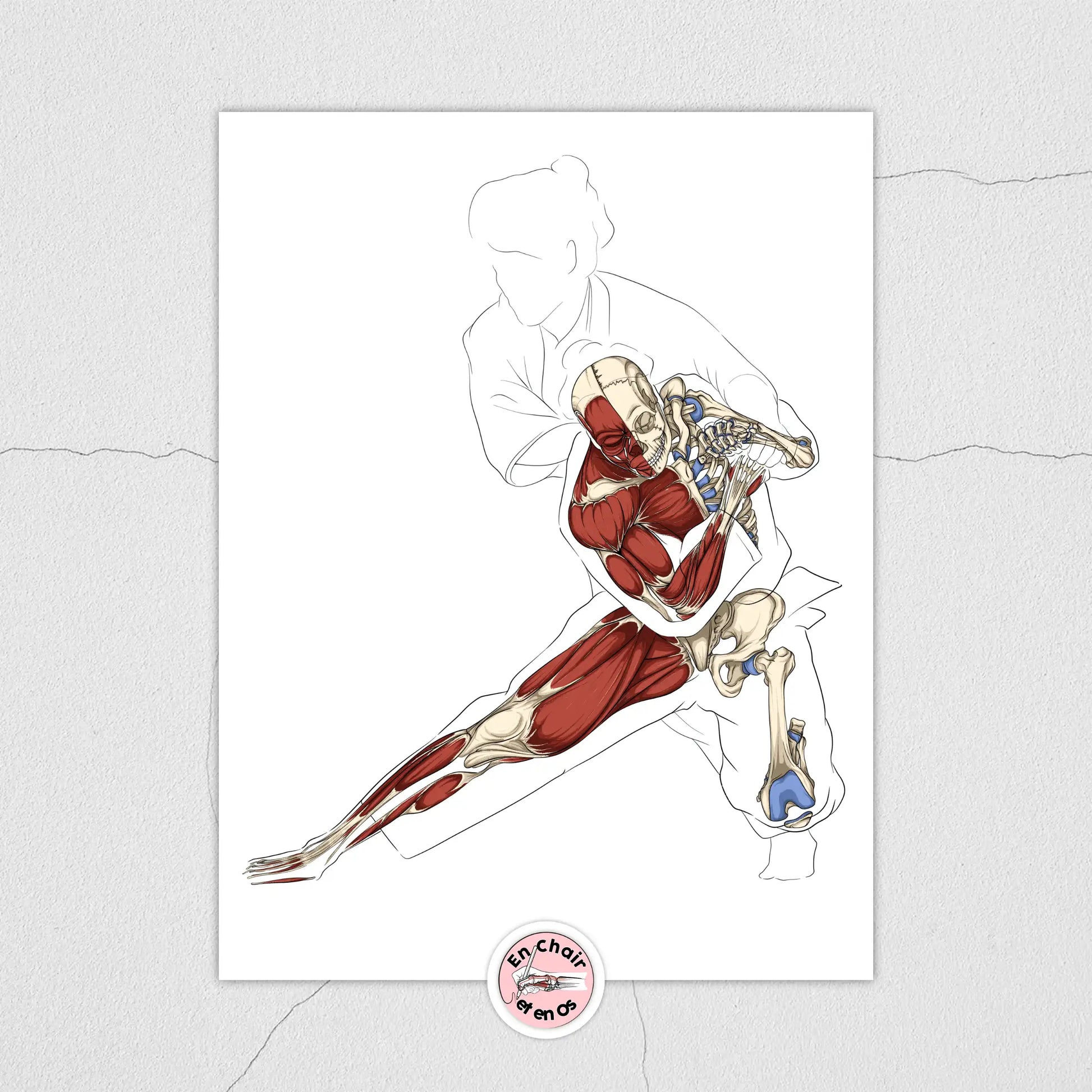 Planche anatomique du Judo En Chair et en Os décoration pour cabinet médical