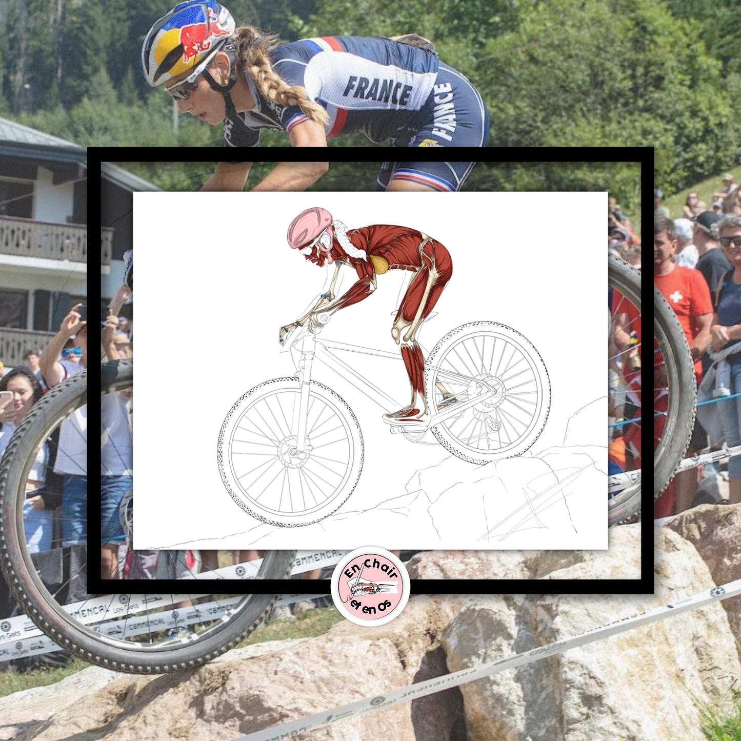 Planche anatomique du vélo tout terrain En Chair et en Os décoration pour cabinet médical