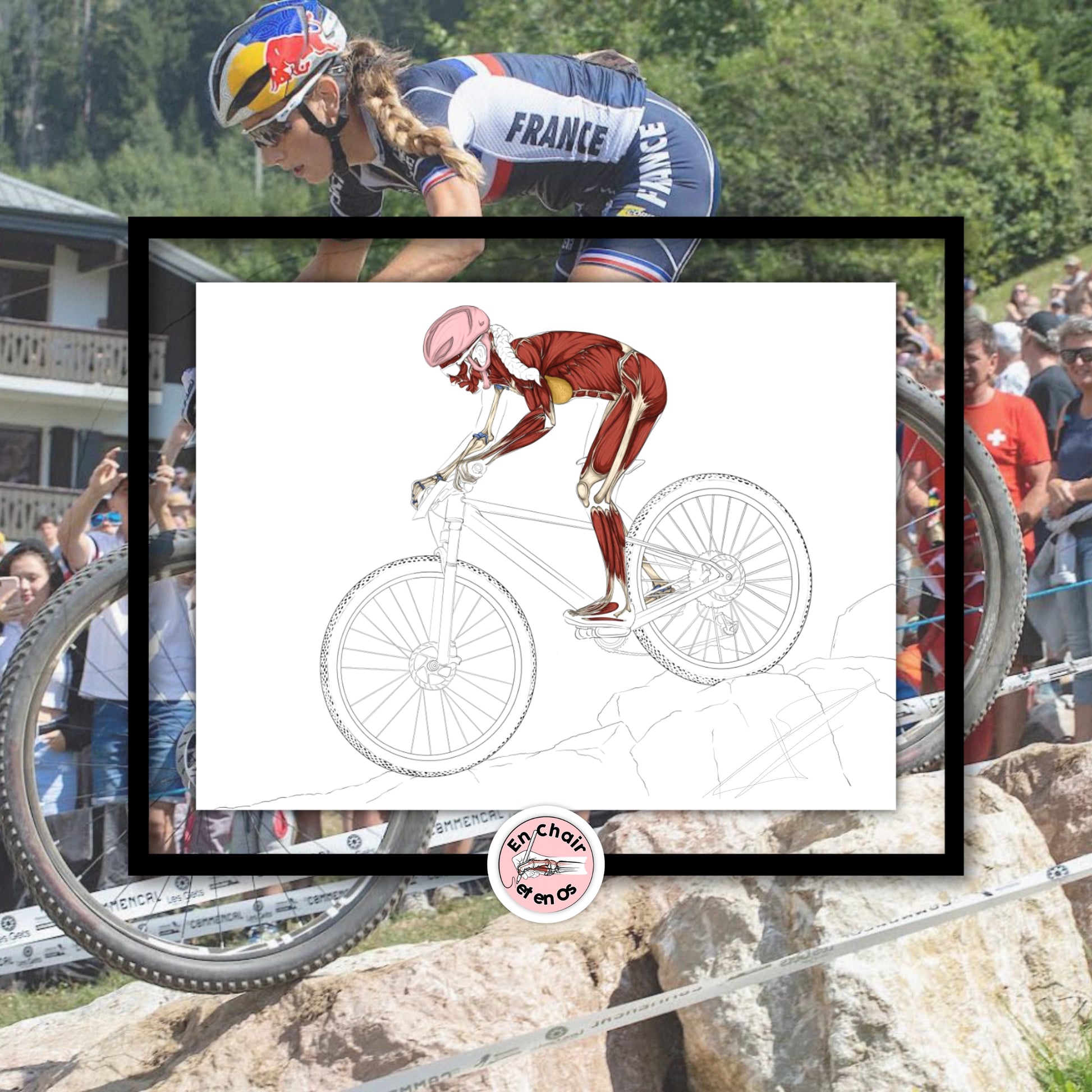 Planche anatomique du vélo tout terrain En Chair et en Os décoration pour cabinet médical