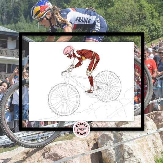 Planche anatomique du vélo tout terrain En Chair et en Os décoration pour cabinet médical