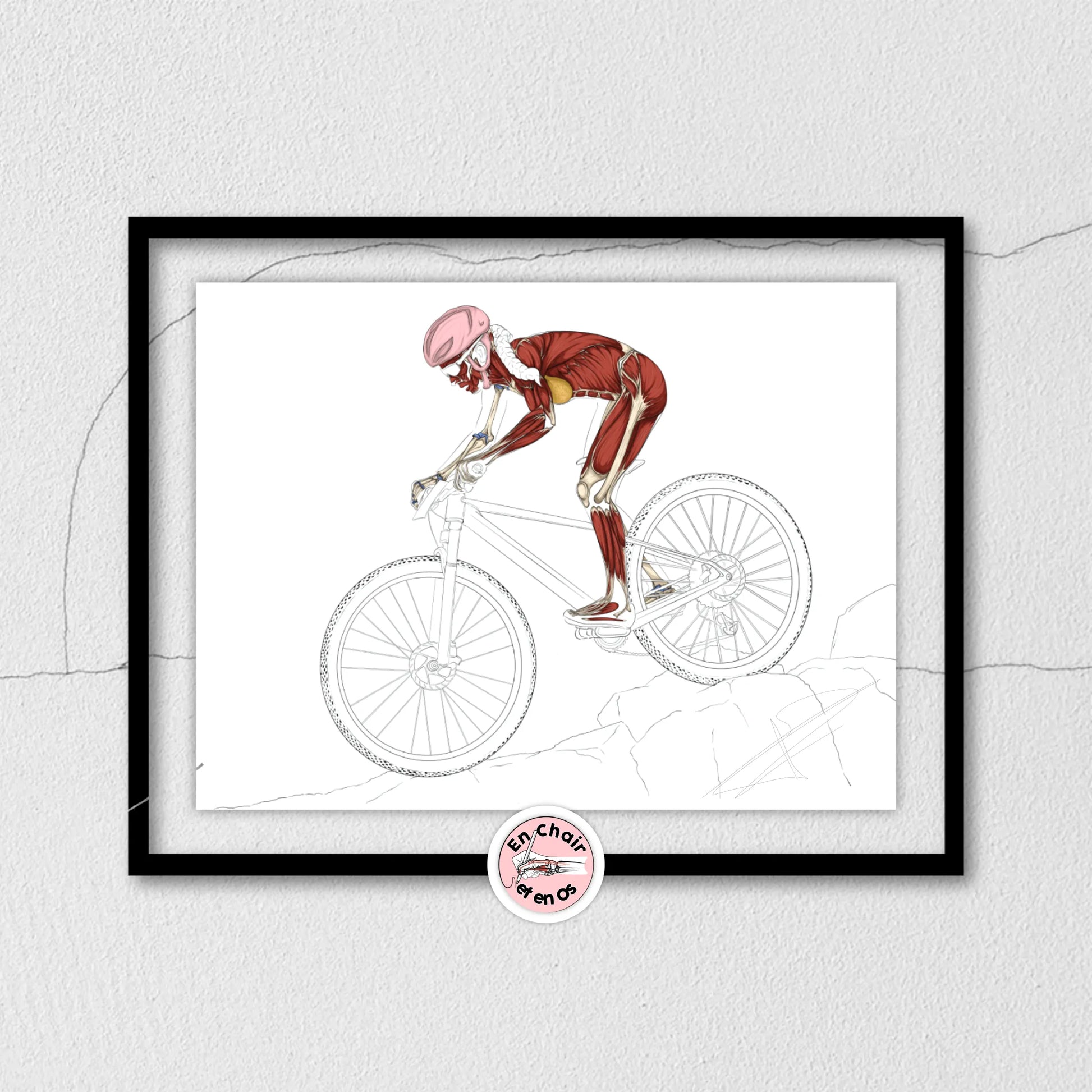 Planche anatomique du vélo tout terrain En Chair et en Os décoration pour cabinet médical