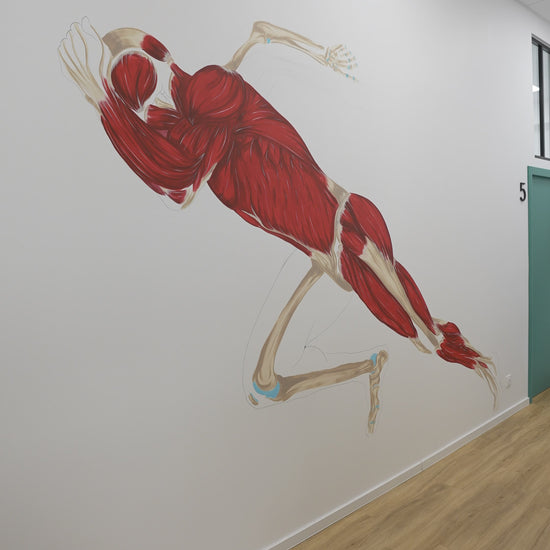 Décoration cabiet kinésithérapie - Kiné Prévert