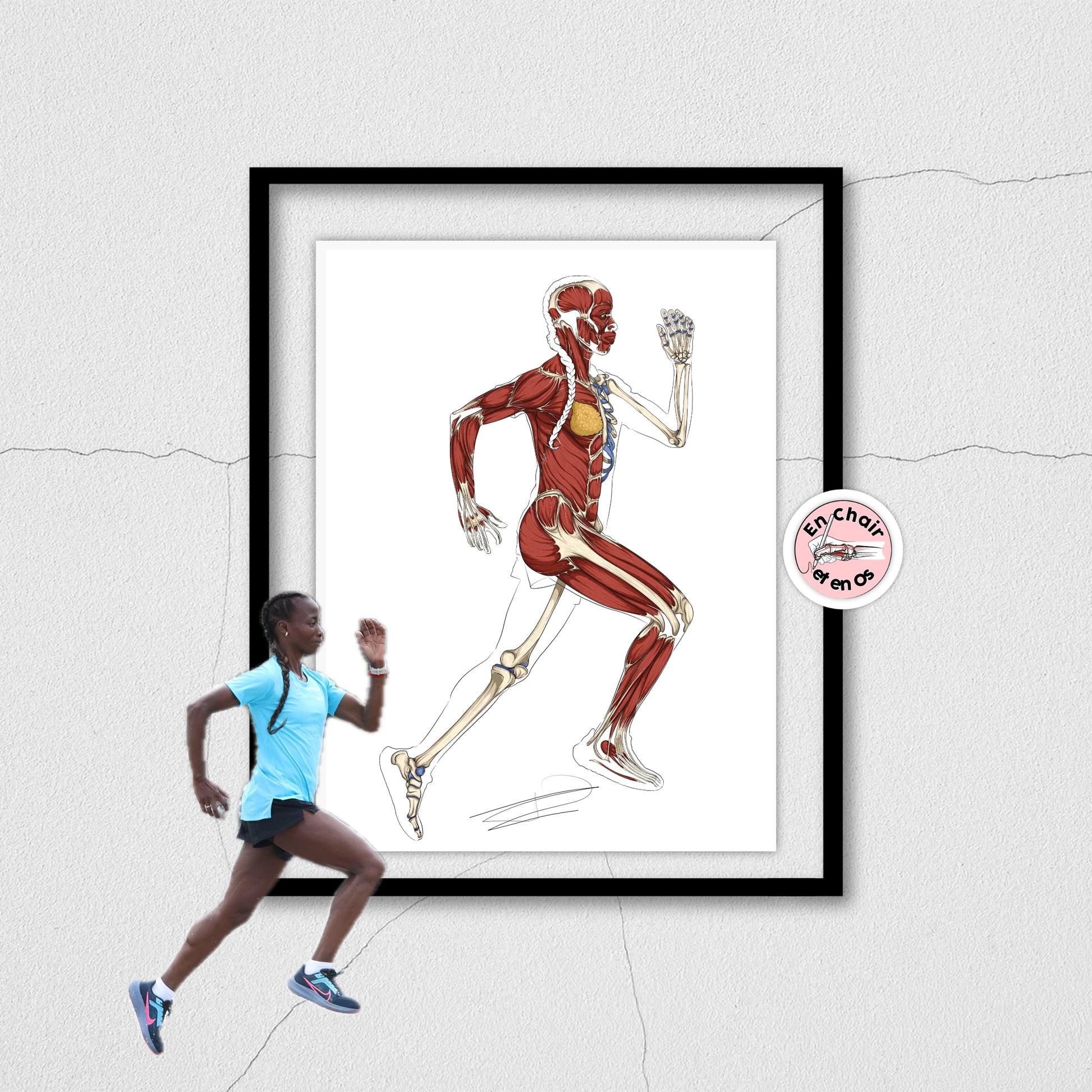 Planche anatomique course à pied