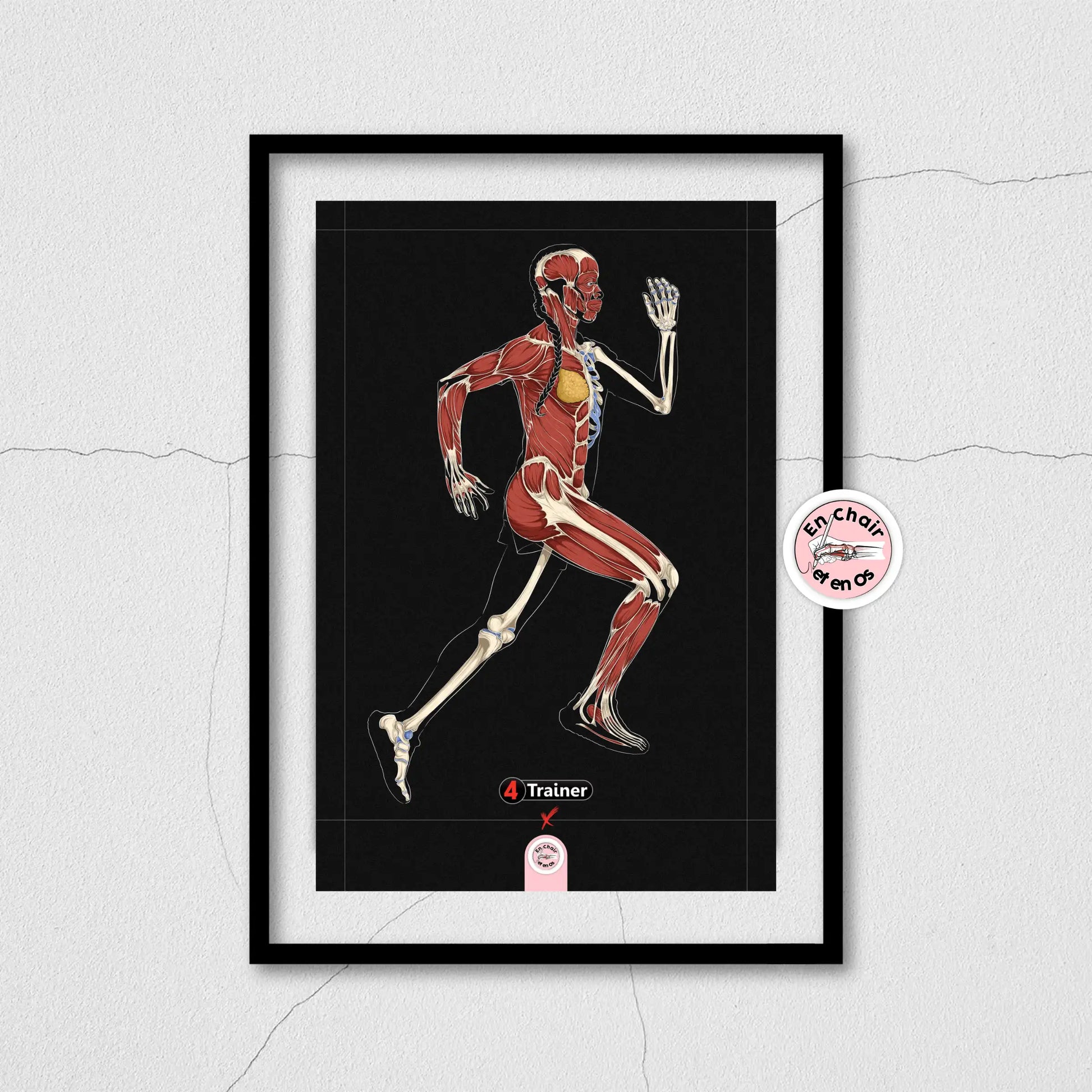 Planche anatomique course à pied