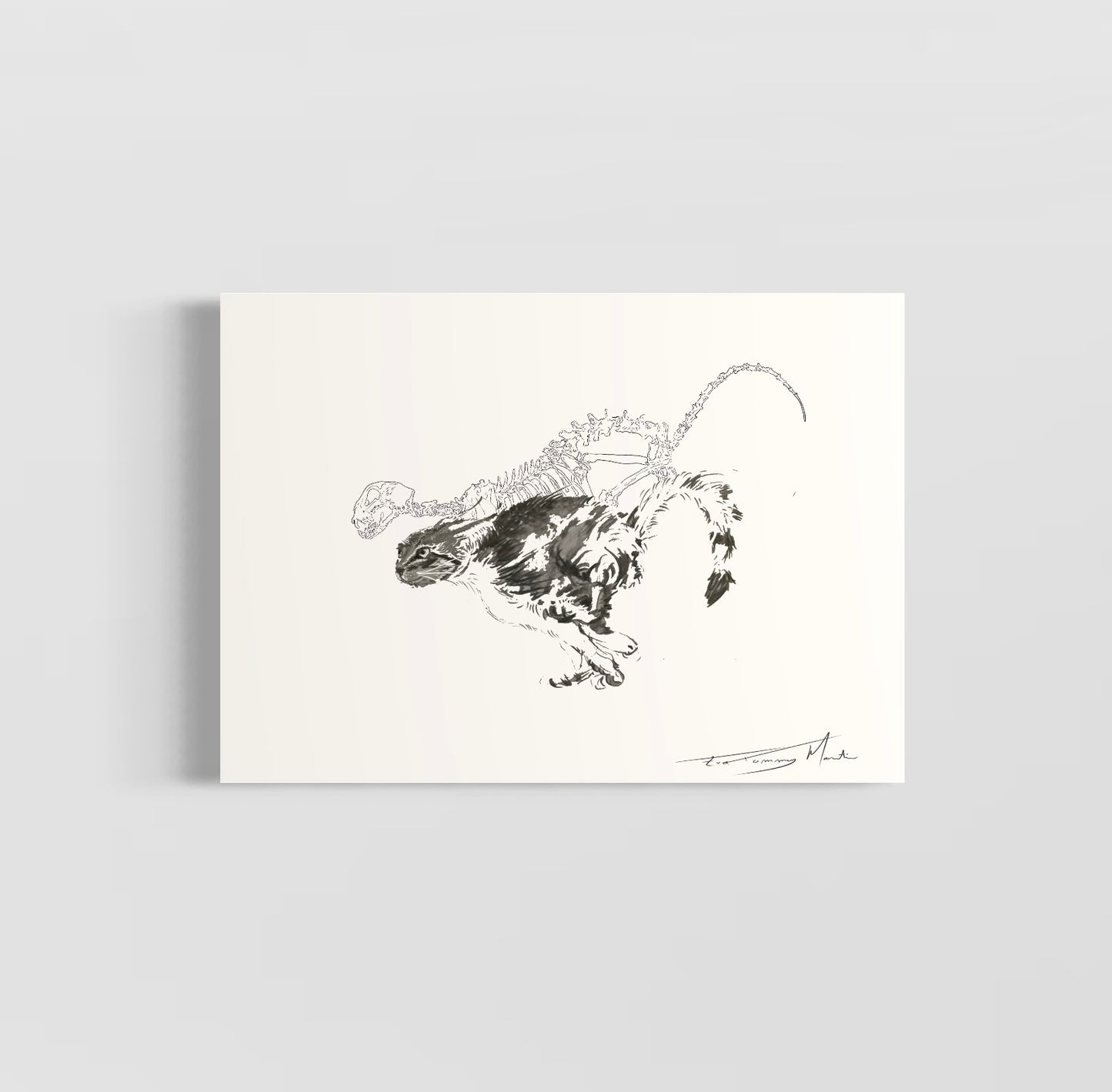 planche anatomique chat En Chair et en Os décoration murale