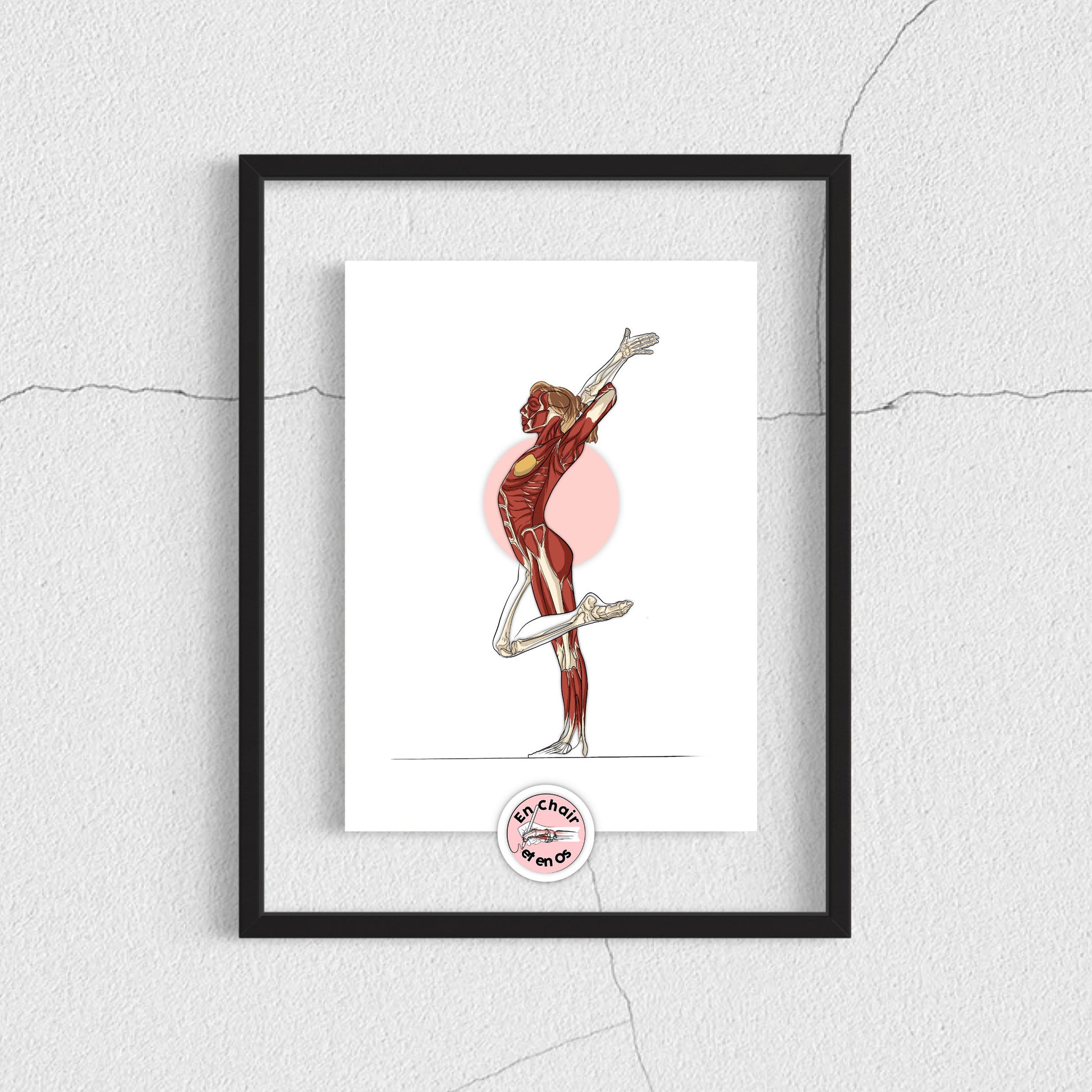 Planche anatomique de la gymnastique En Chair et en Os décoration pour cabinet médical