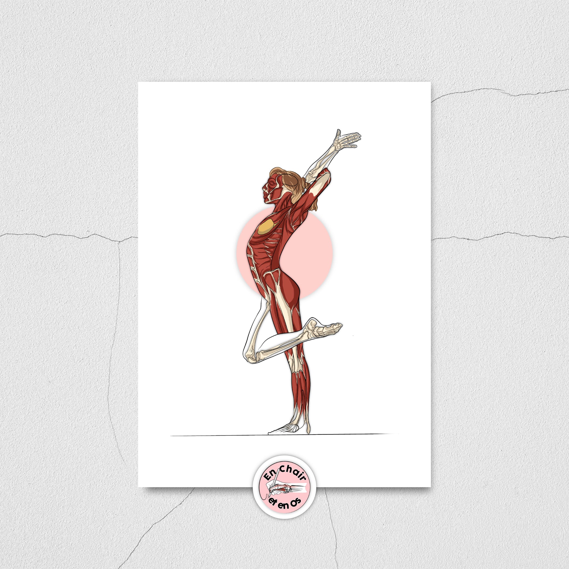 Planche anatomique de la gymnastique En Chair et en Os décoration pour cabinet médical