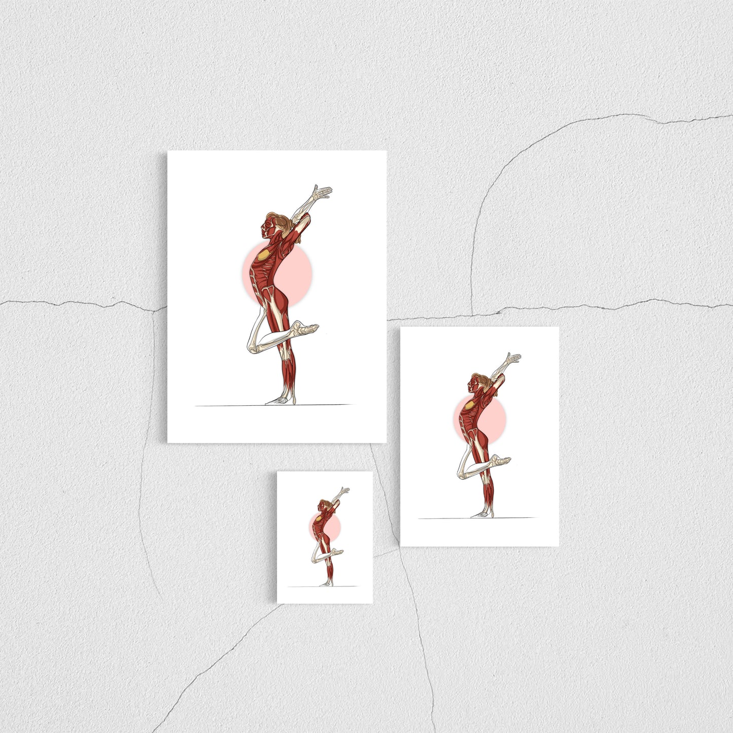 Planche anatomique de la gymnastique En Chair et en Os décoration pour cabinet médical