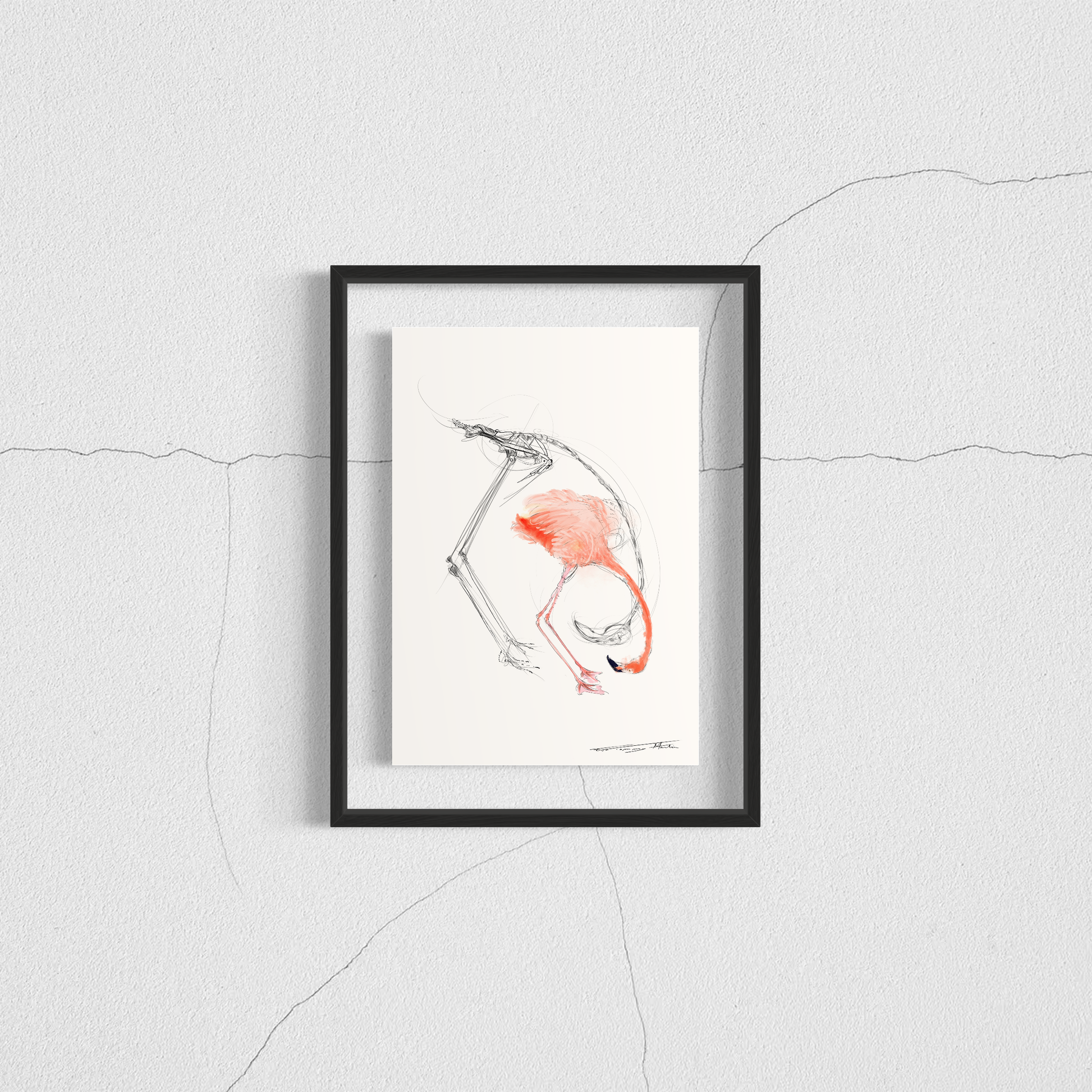 planche anatomique du flamand rose En Chair et en Os décoration murale